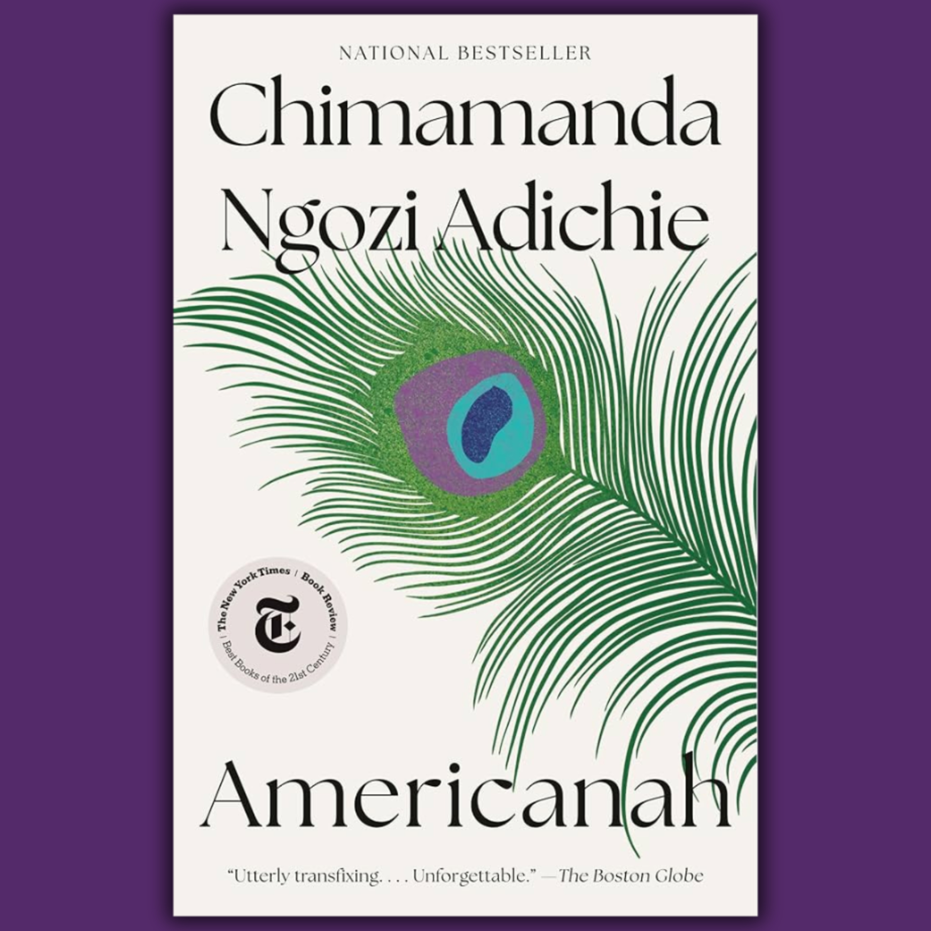 Americanah episode artwork