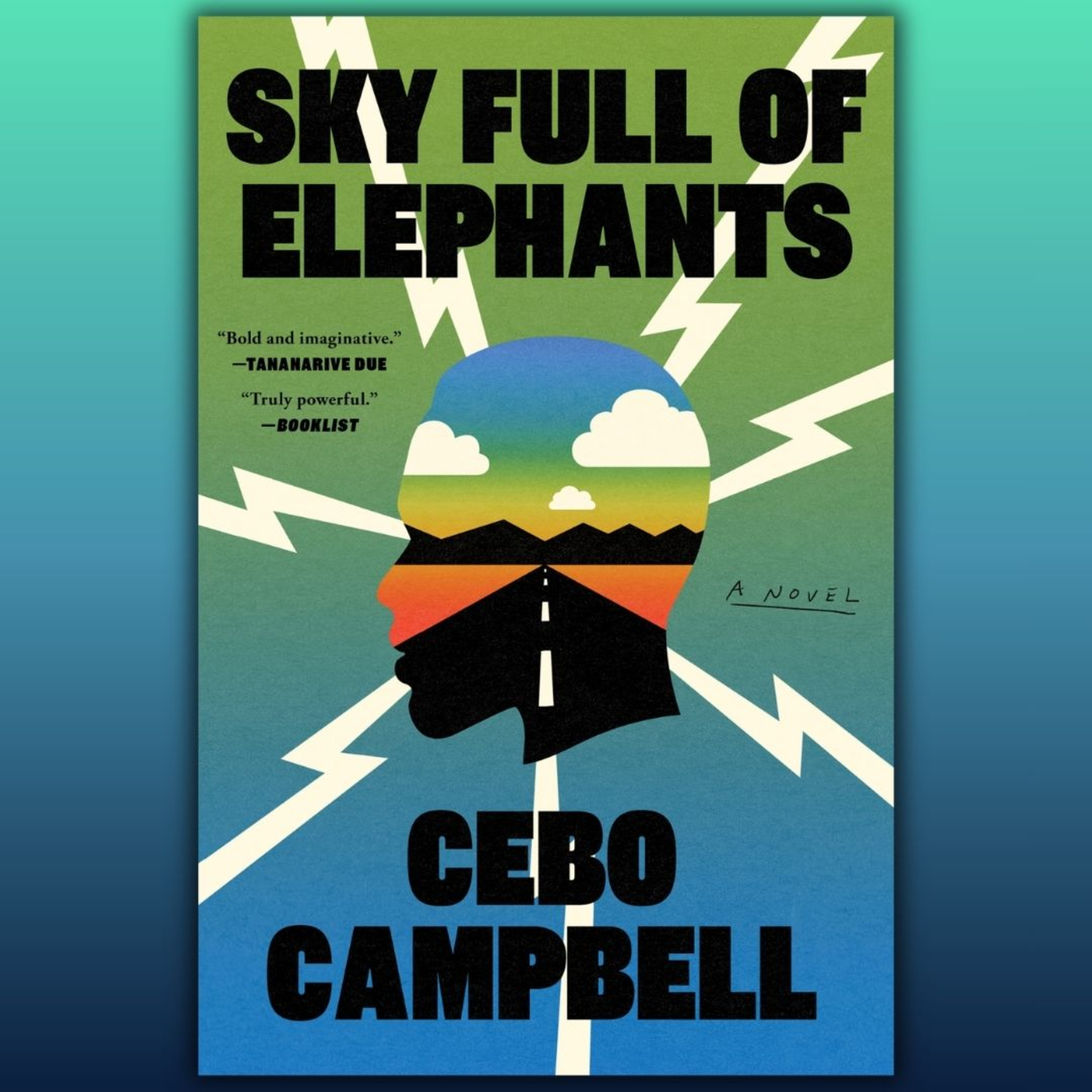 Sky Full of Elephants episode artwork