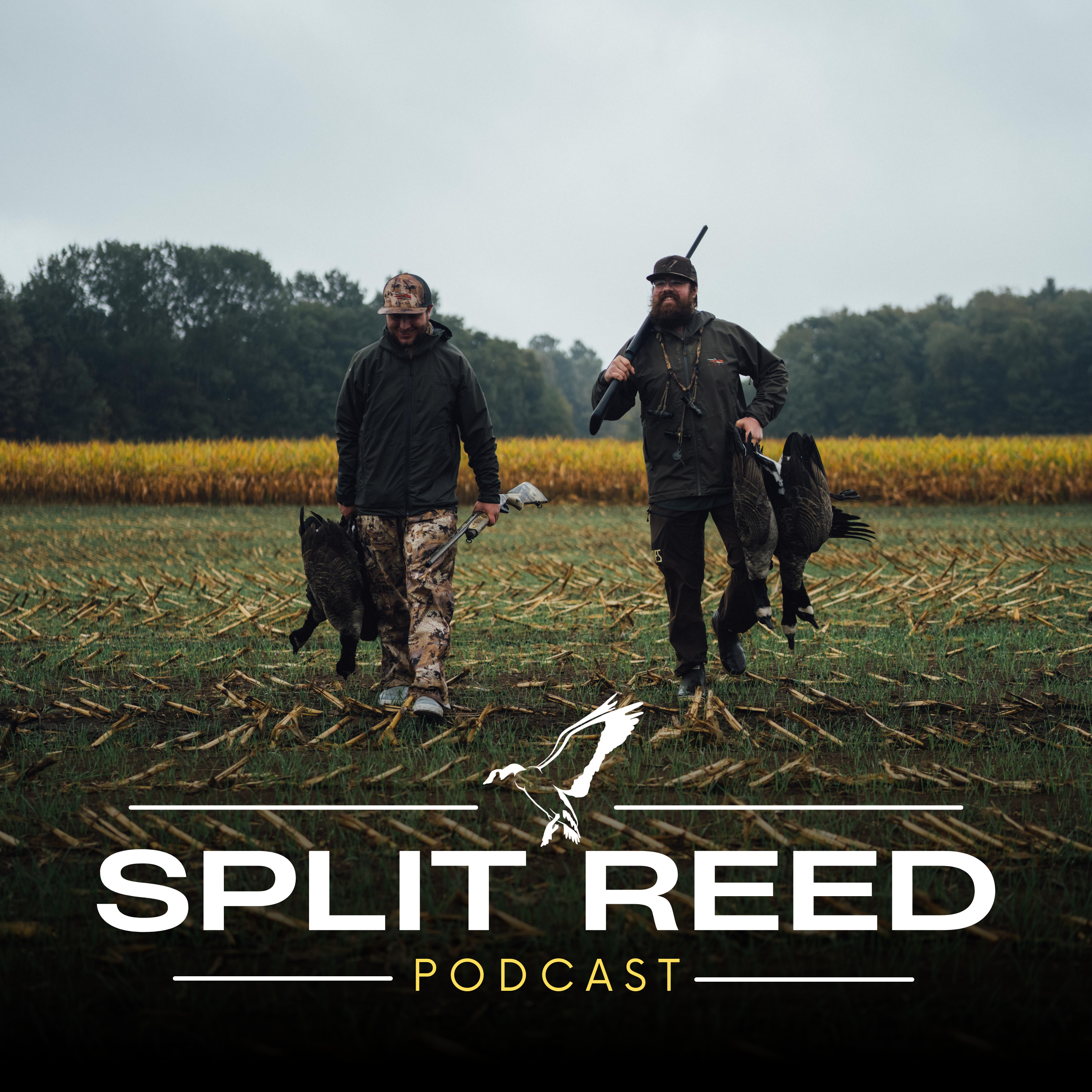 Ep. 1: Is Flooded Corn Impacting Waterfowl Migration?  episode artwork