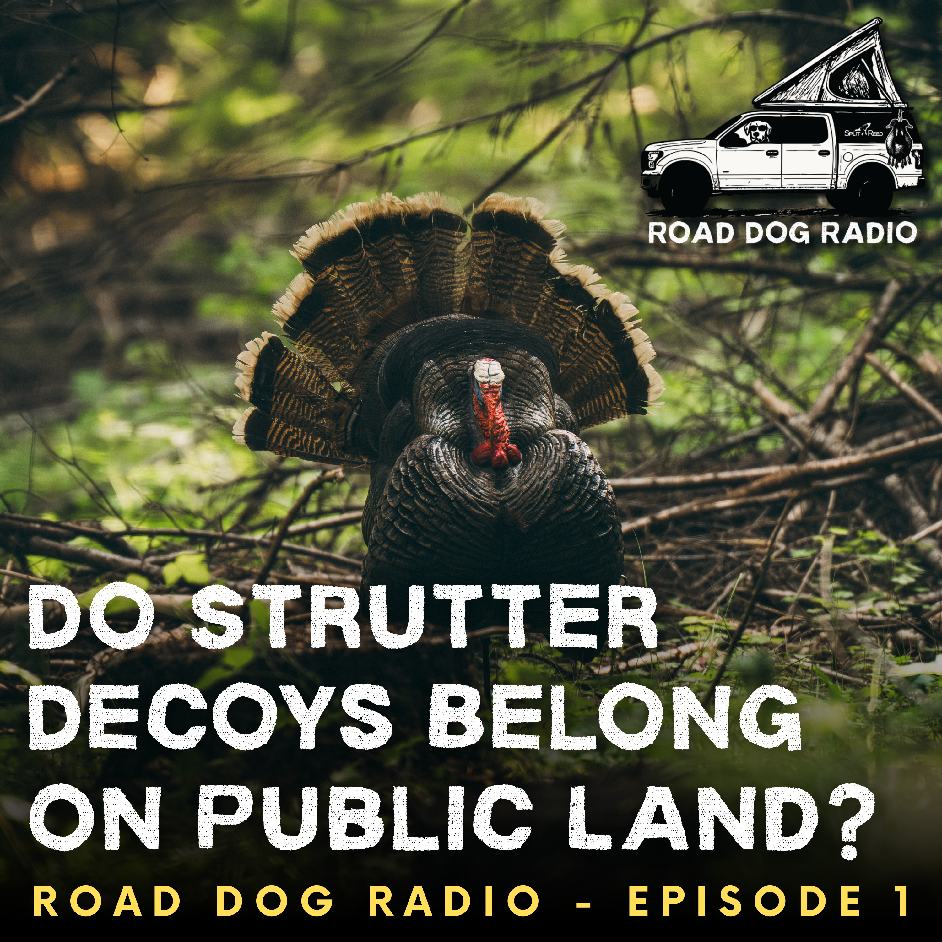 Do Strutter Decoys Belong on Public Land? | Road Dog Radio Ep. 1 episode artwork