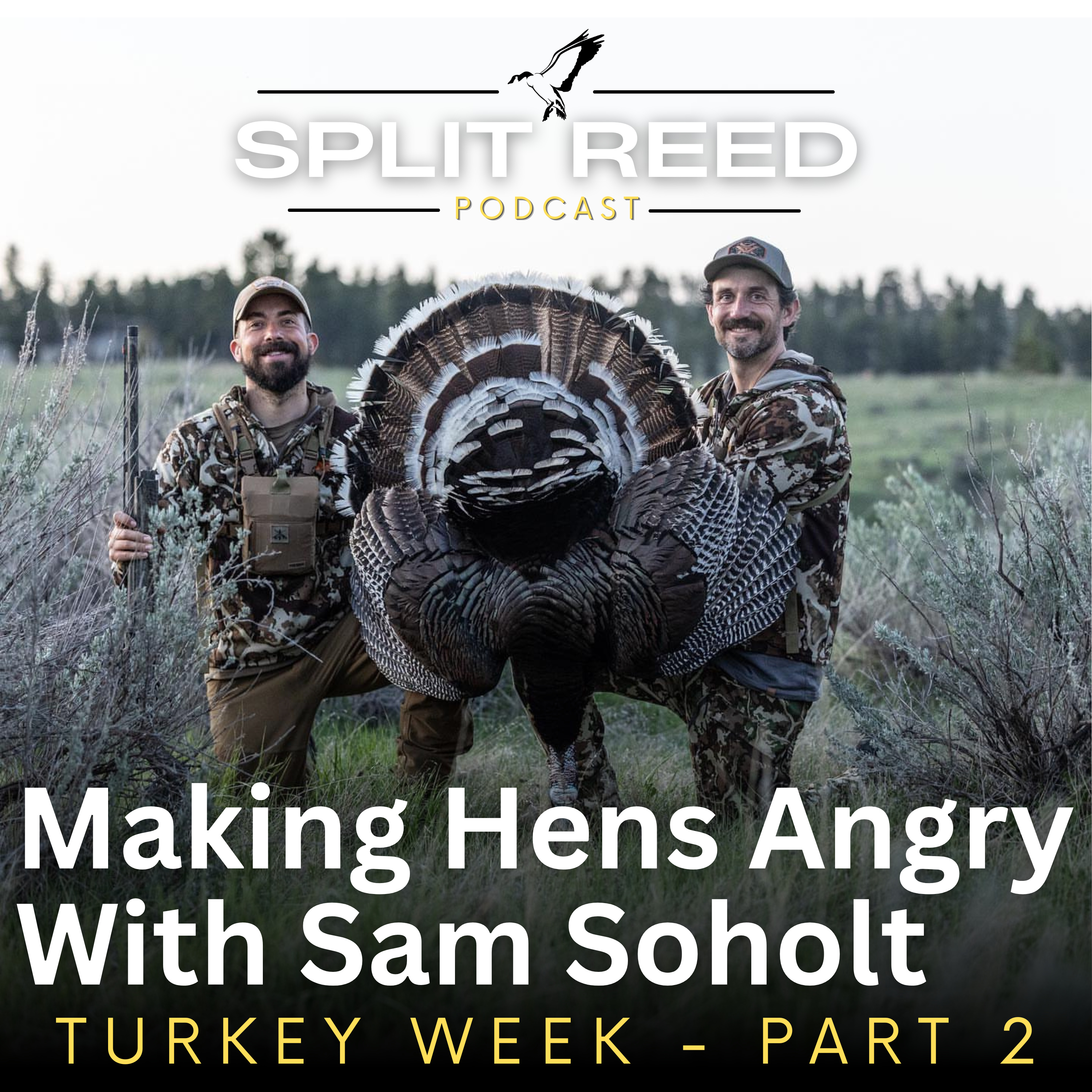 Ep. 4 Making Hens Angry With Sam Soholt | Turkey Week Part 2 episode artwork
