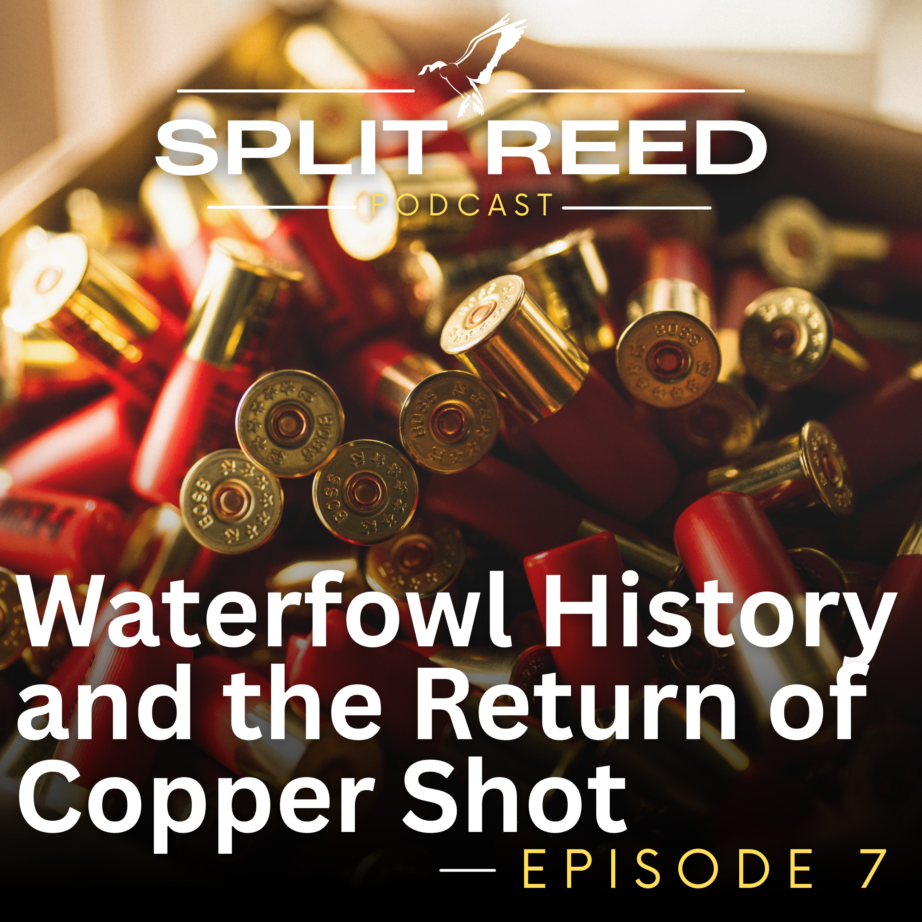 Ep. 7 Waterfowl History & The Return Of Copper Shotshells episode artwork