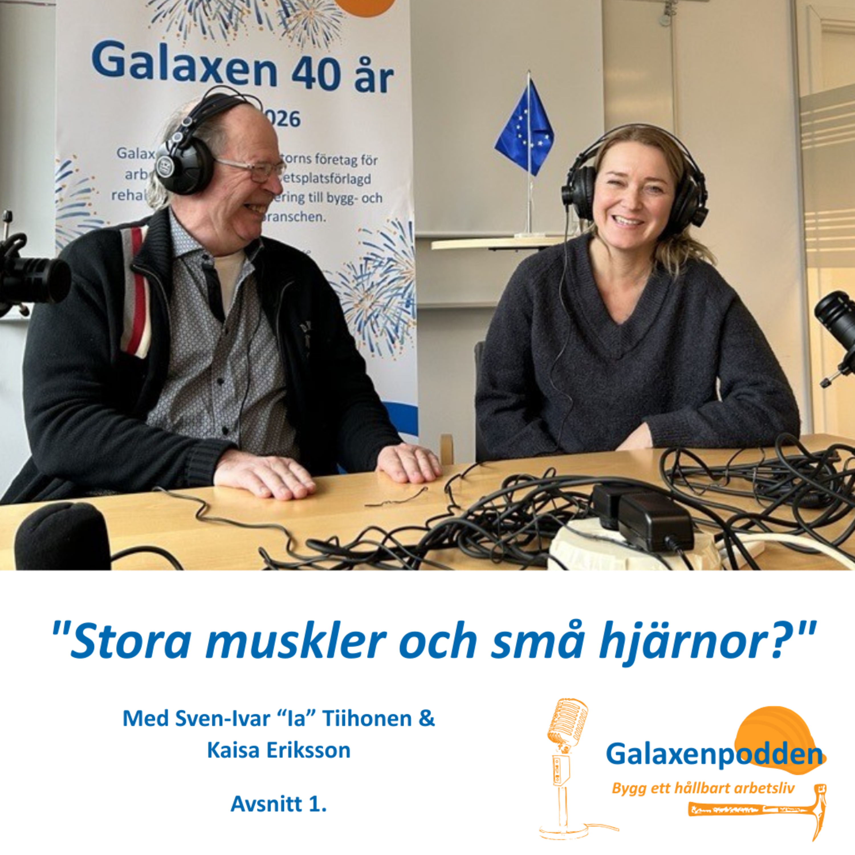 "Stora muskler och små hjärnor?" episode artwork