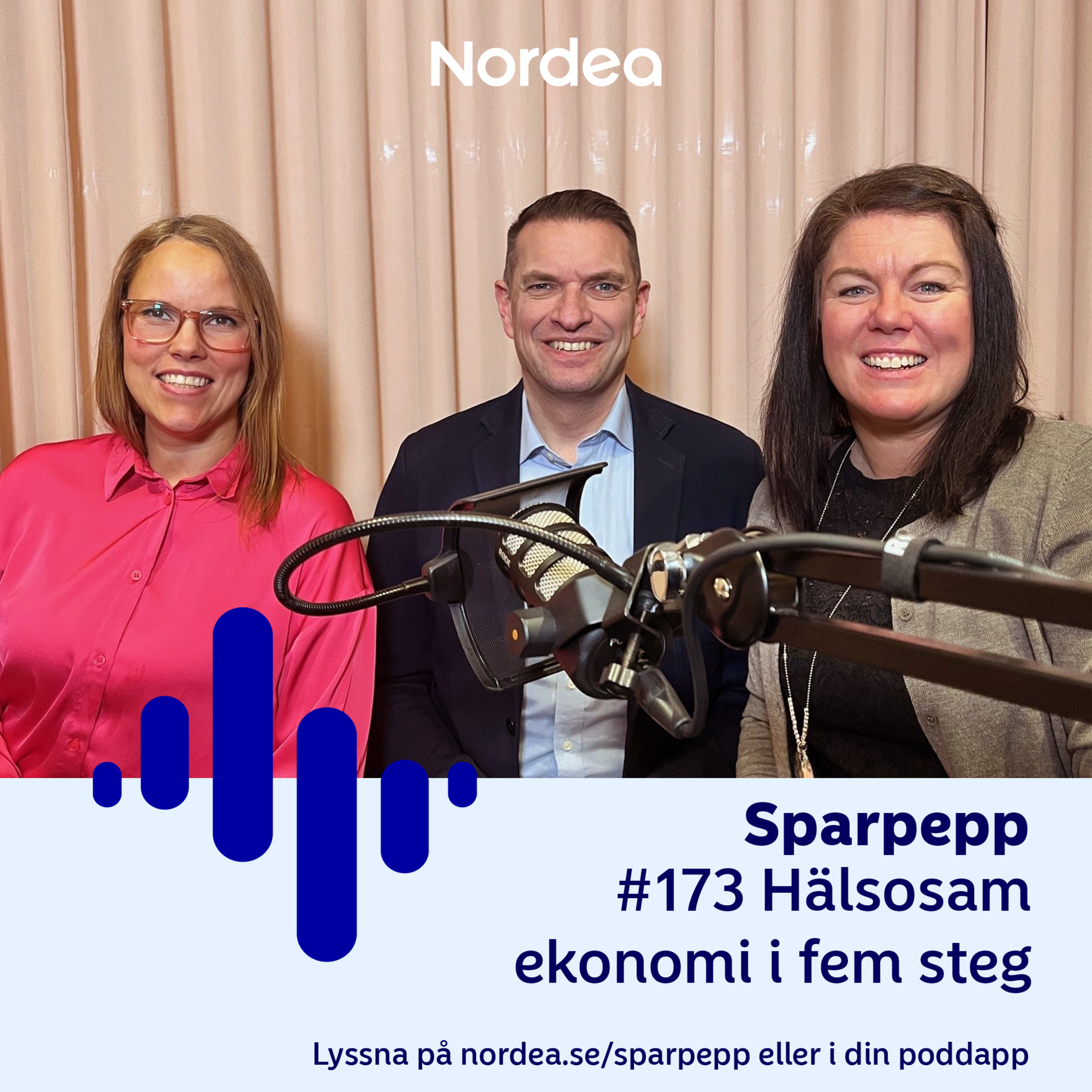 Hälsosam ekonomi i fem steg episode artwork