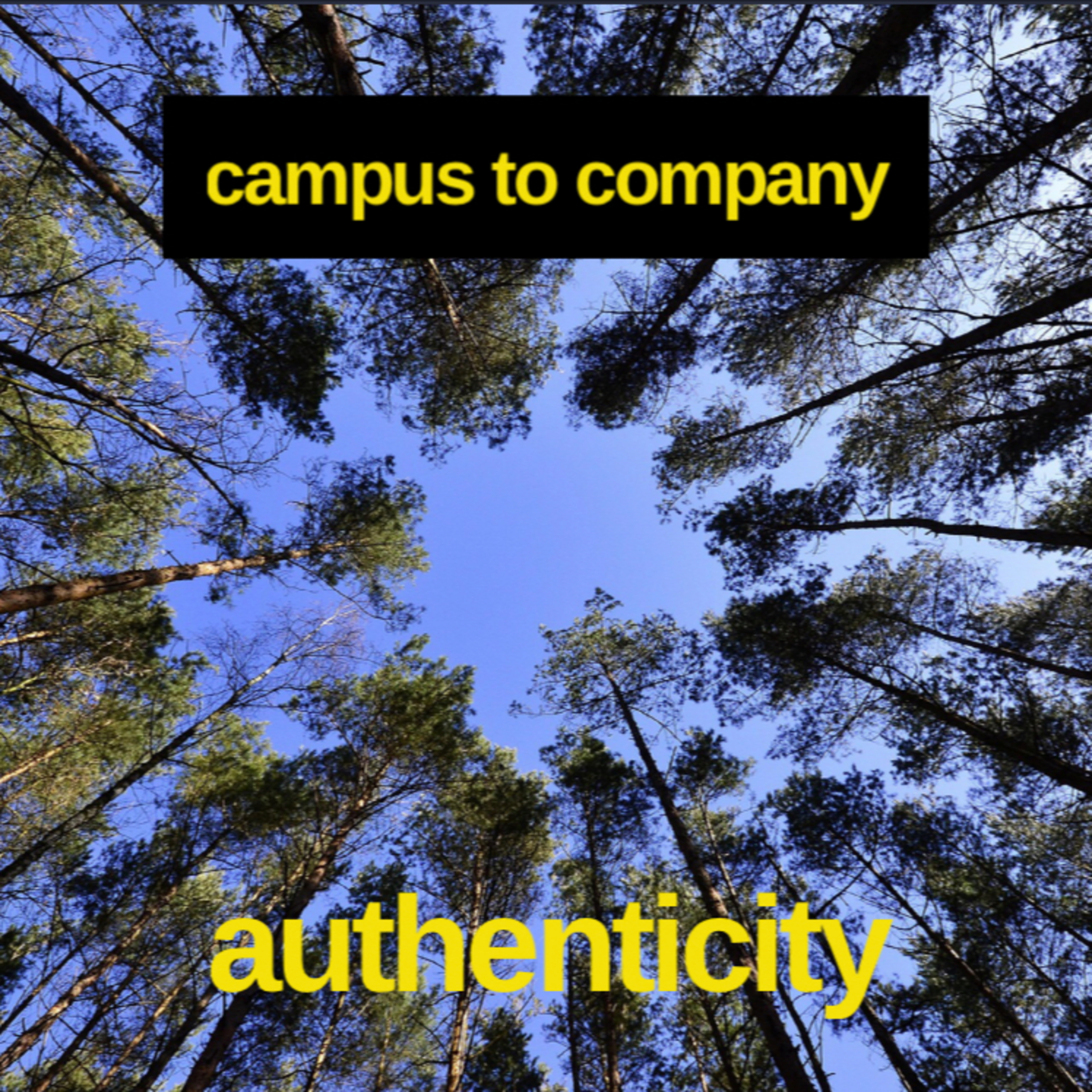 Authenticity episode artwork