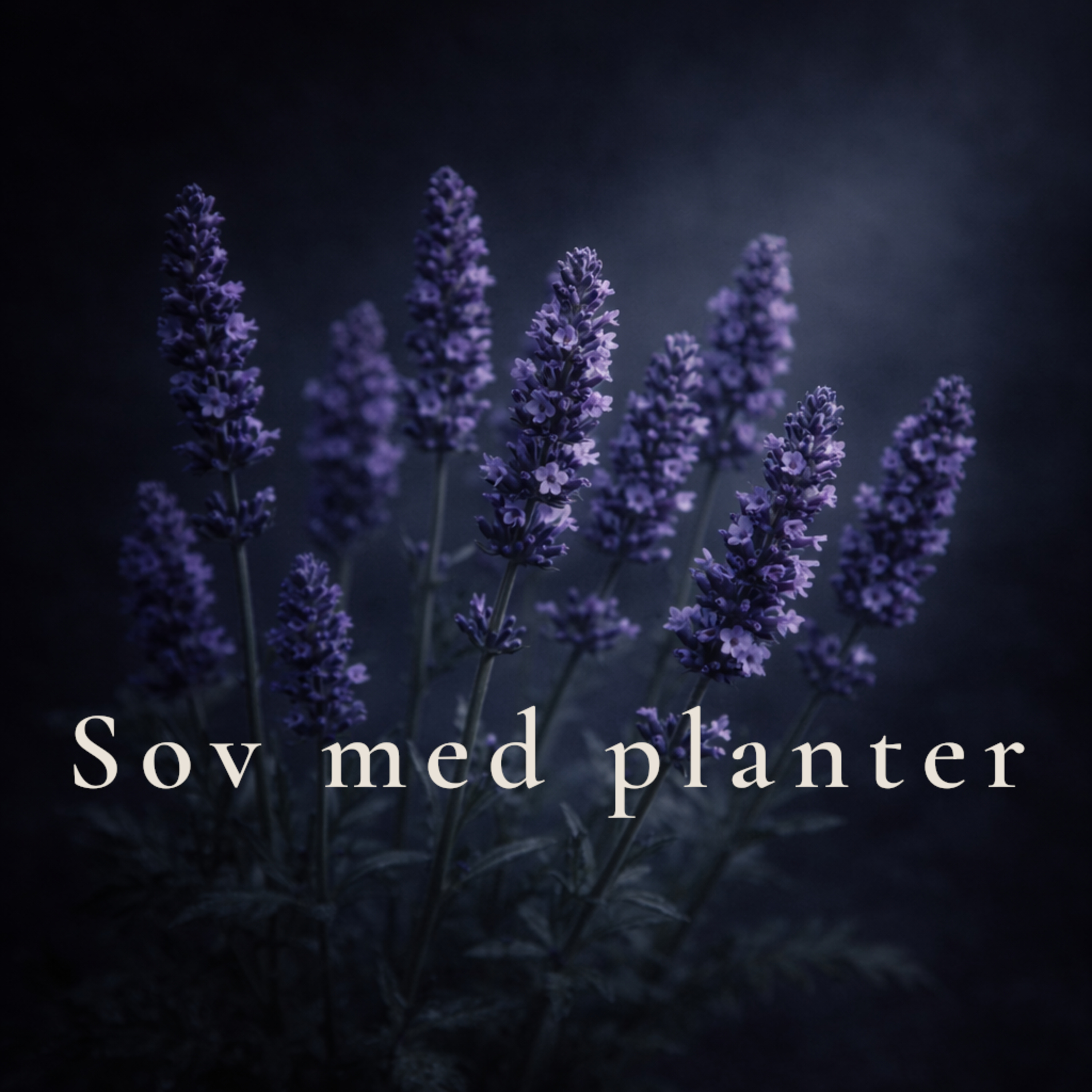 Lavendel episode artwork