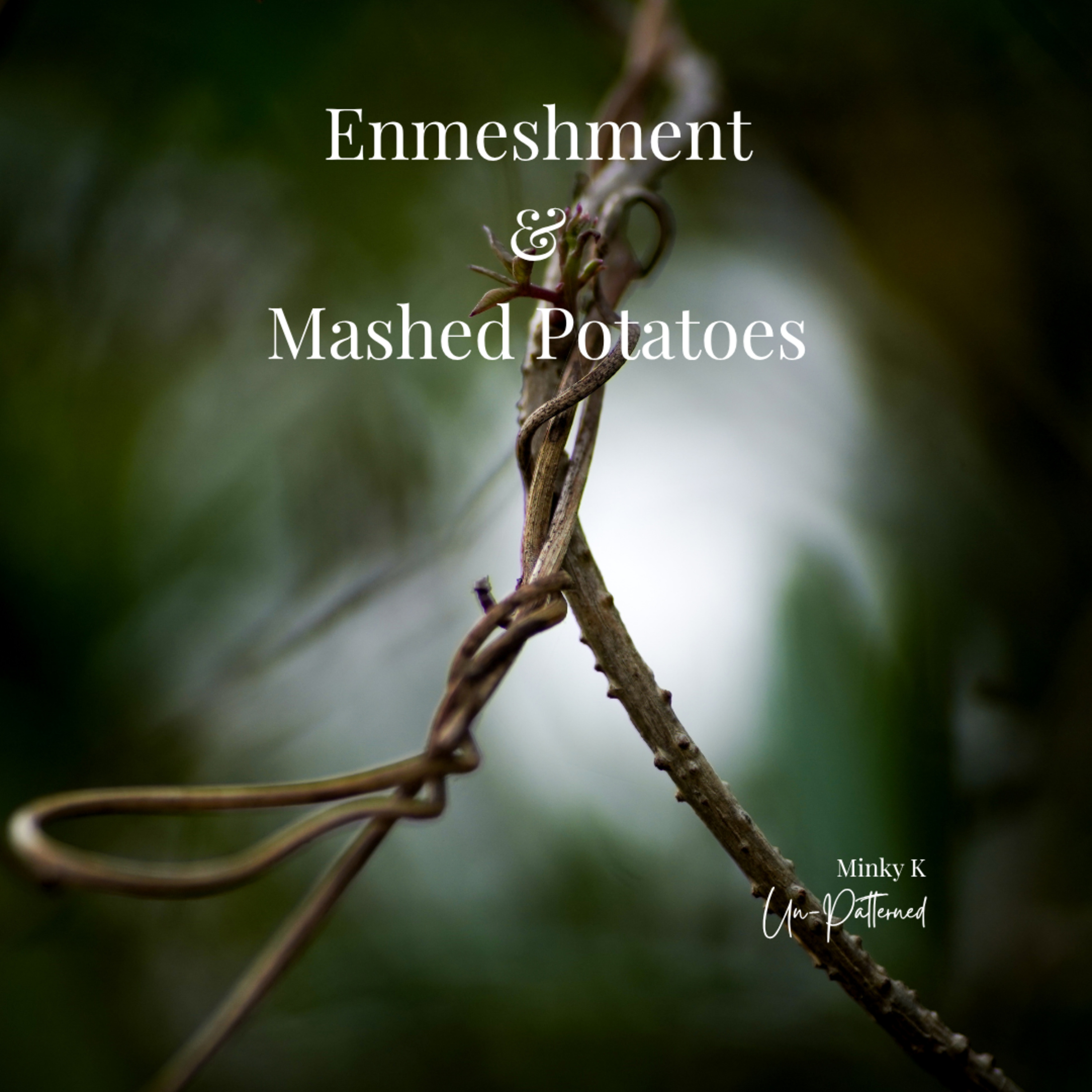 Enmeshment & Mashed Potatoes: When You Lose Yourself in Someone Else episode artwork