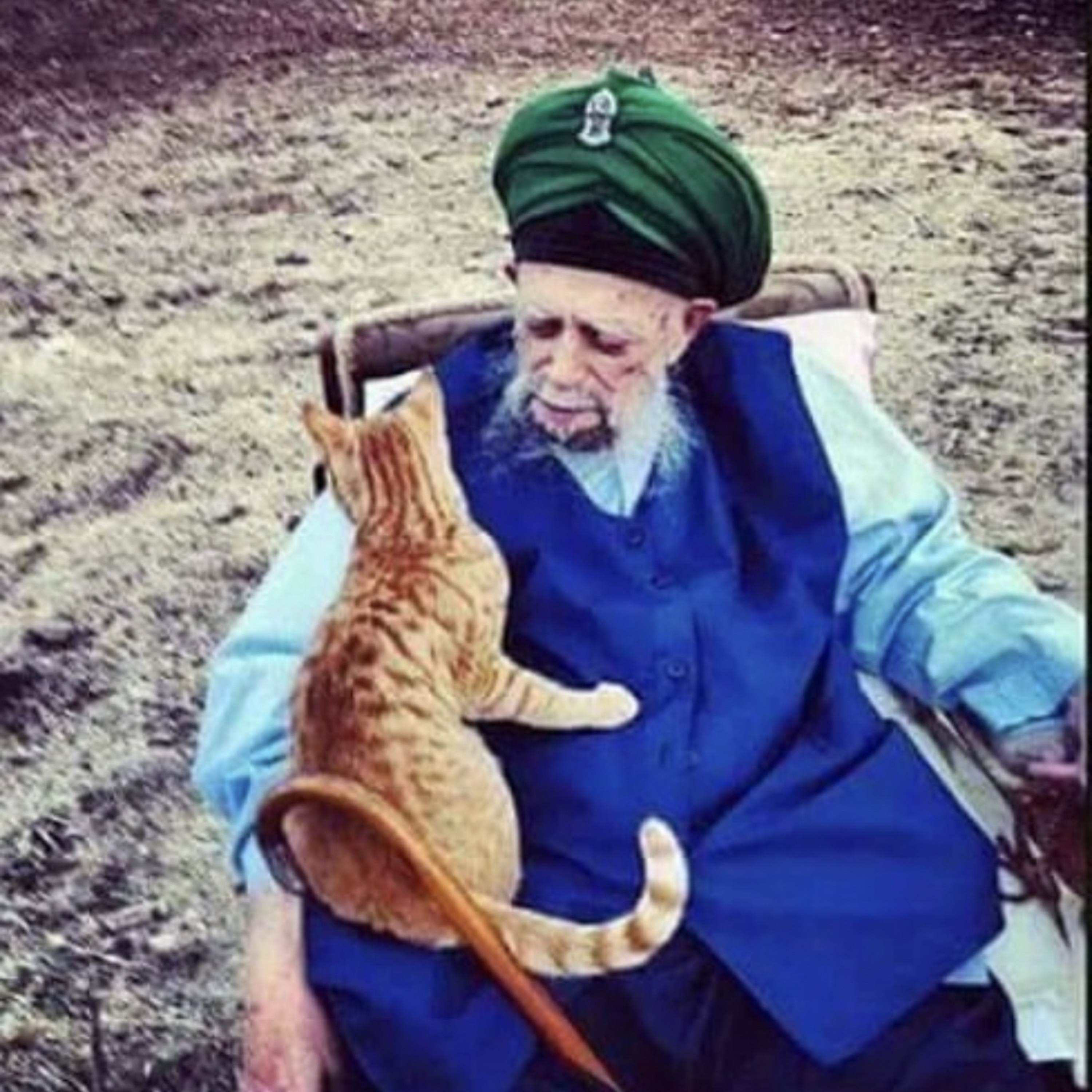 EN-Servants must keep their honour, Şeyh Nazım El-Kıbrısi Hazretleri Q.S.A. episode artwork