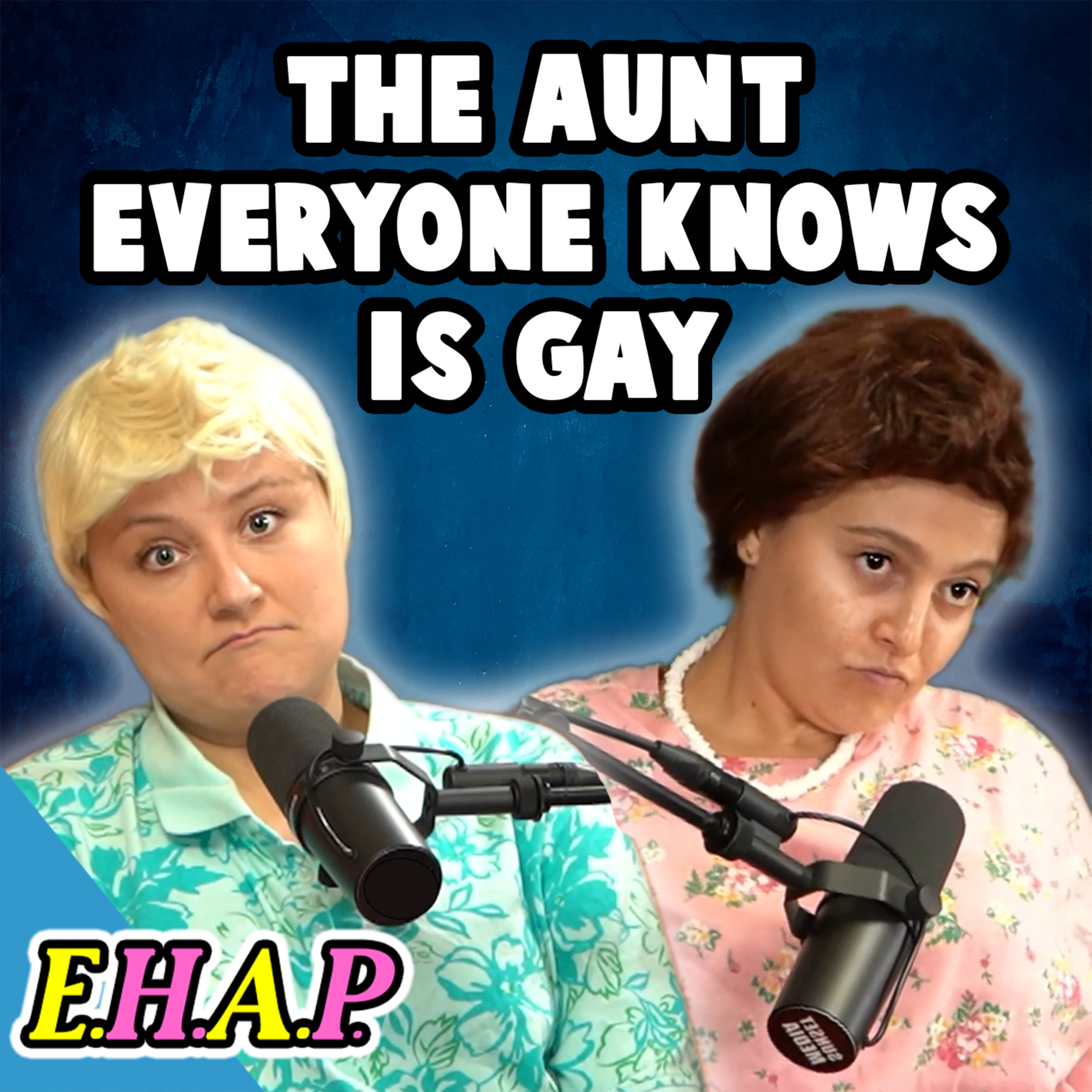 The Aunt Everyone Knows is Gay Has a Podcast episode artwork