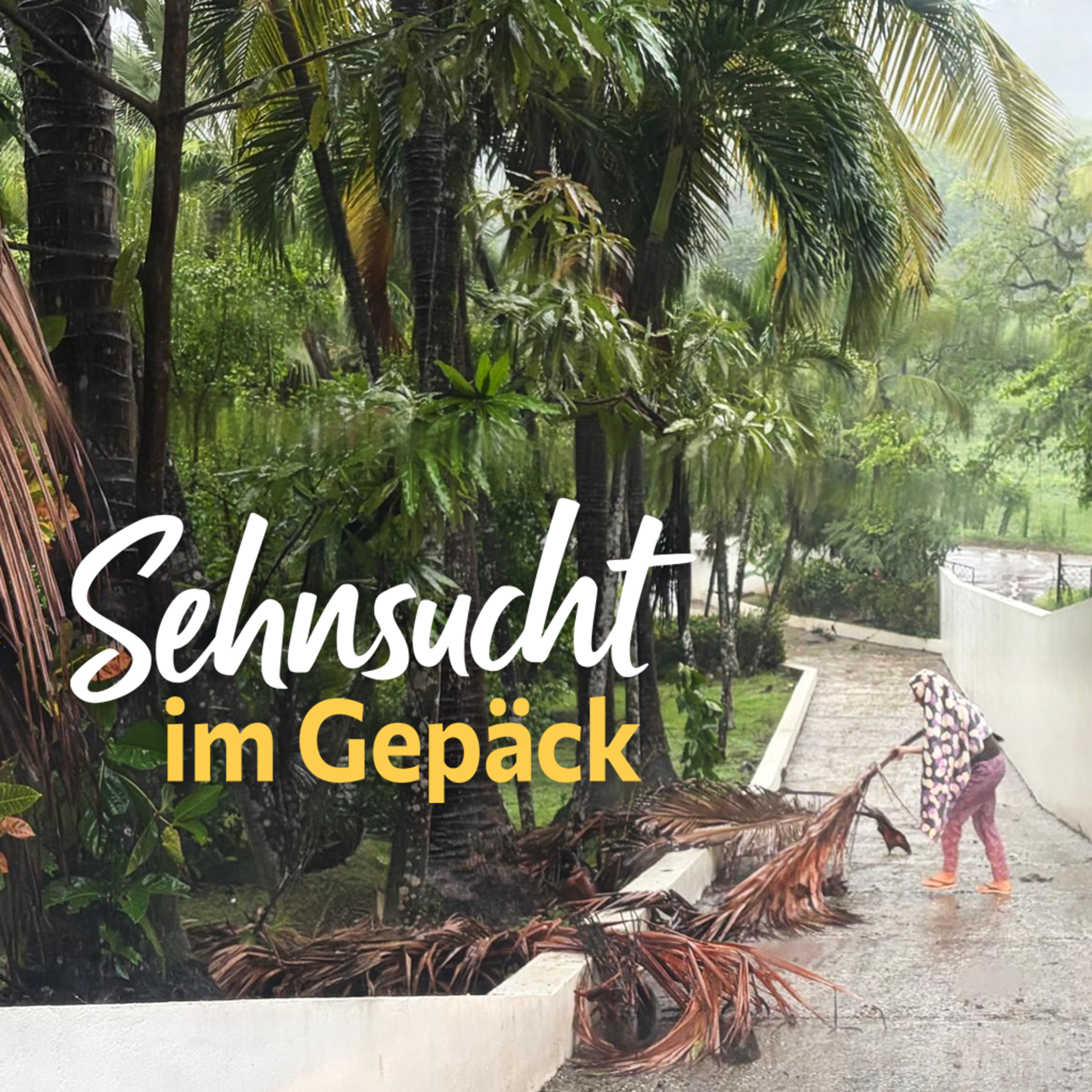 Kein Strom. Kein Wasser. Pura Vida? episode artwork