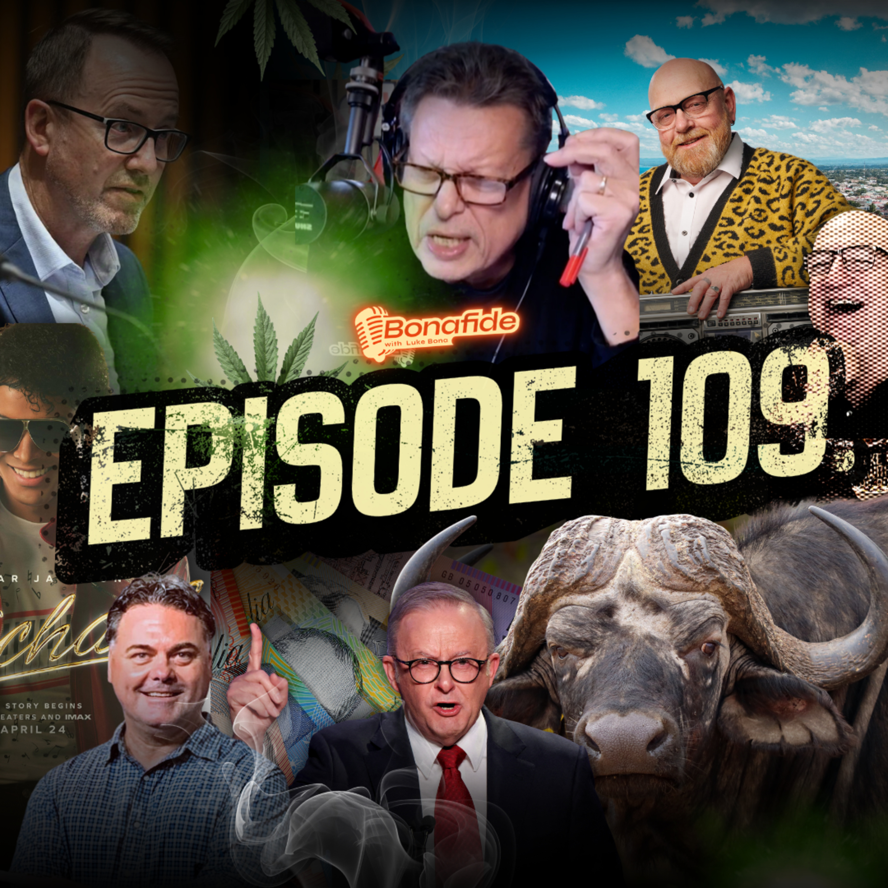 Should Cannabis Be Decriminalised? & Albos Small Business Beef Demystified episode artwork