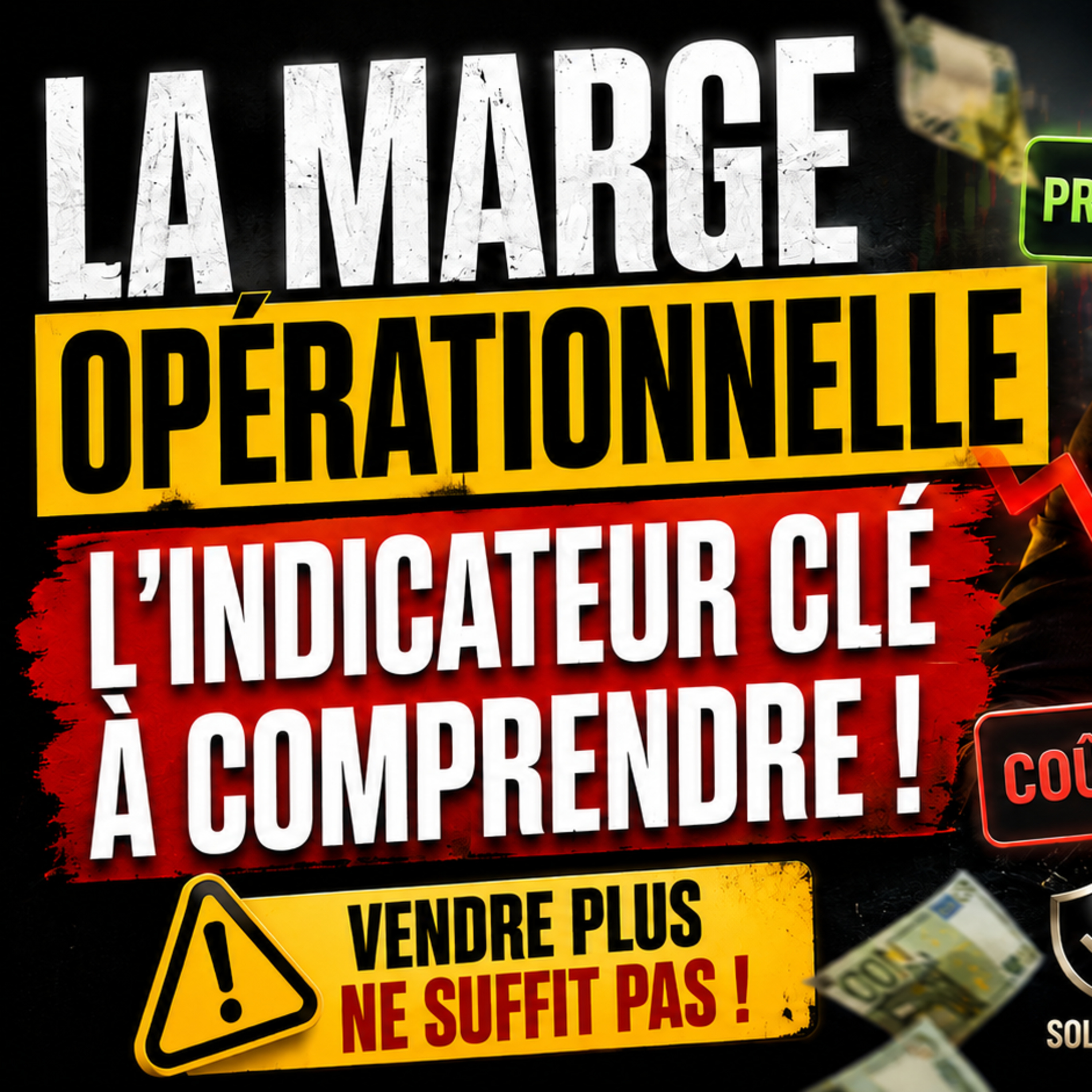 Évitez les pièges en bourse avec la marge opérationnelle ! episode artwork