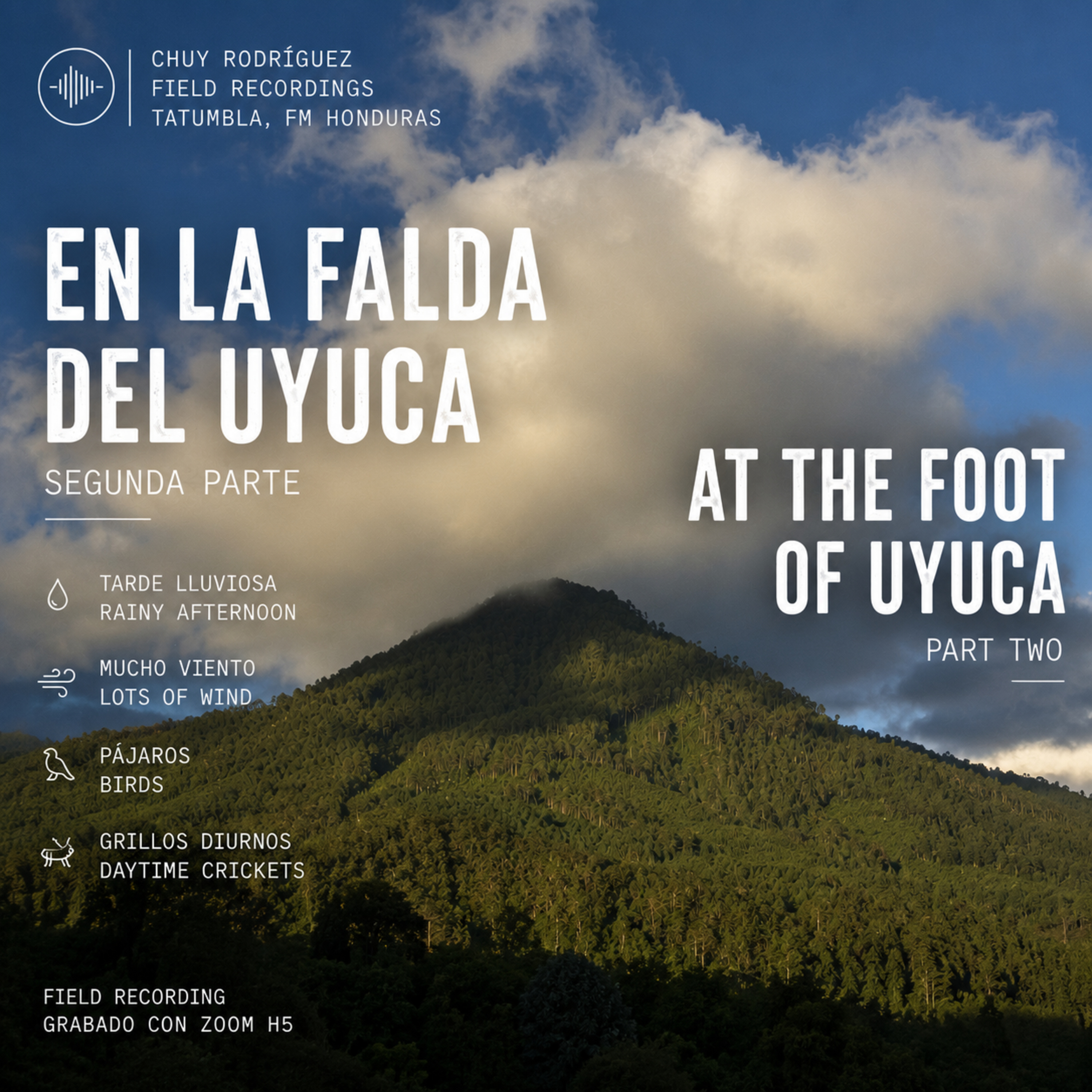 Tatumbla - En la falda del Uyuca — Parte 2: Sonidos del bosque en una tarde lluviosa | At the Foot of Uyuca — Part 2: Rainy Forest Sounds