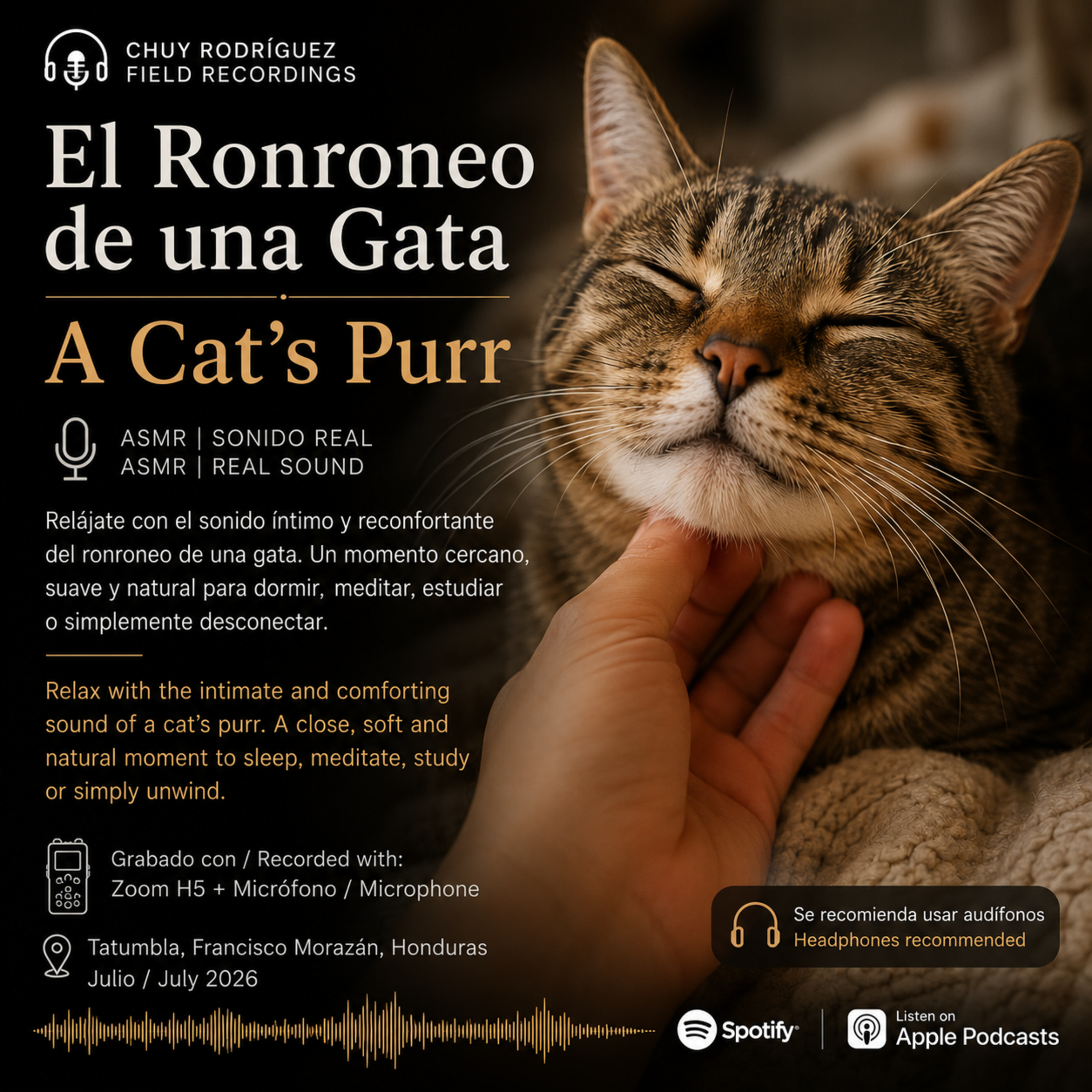 ASMR - Ronroneo de Gato | Cat Purring