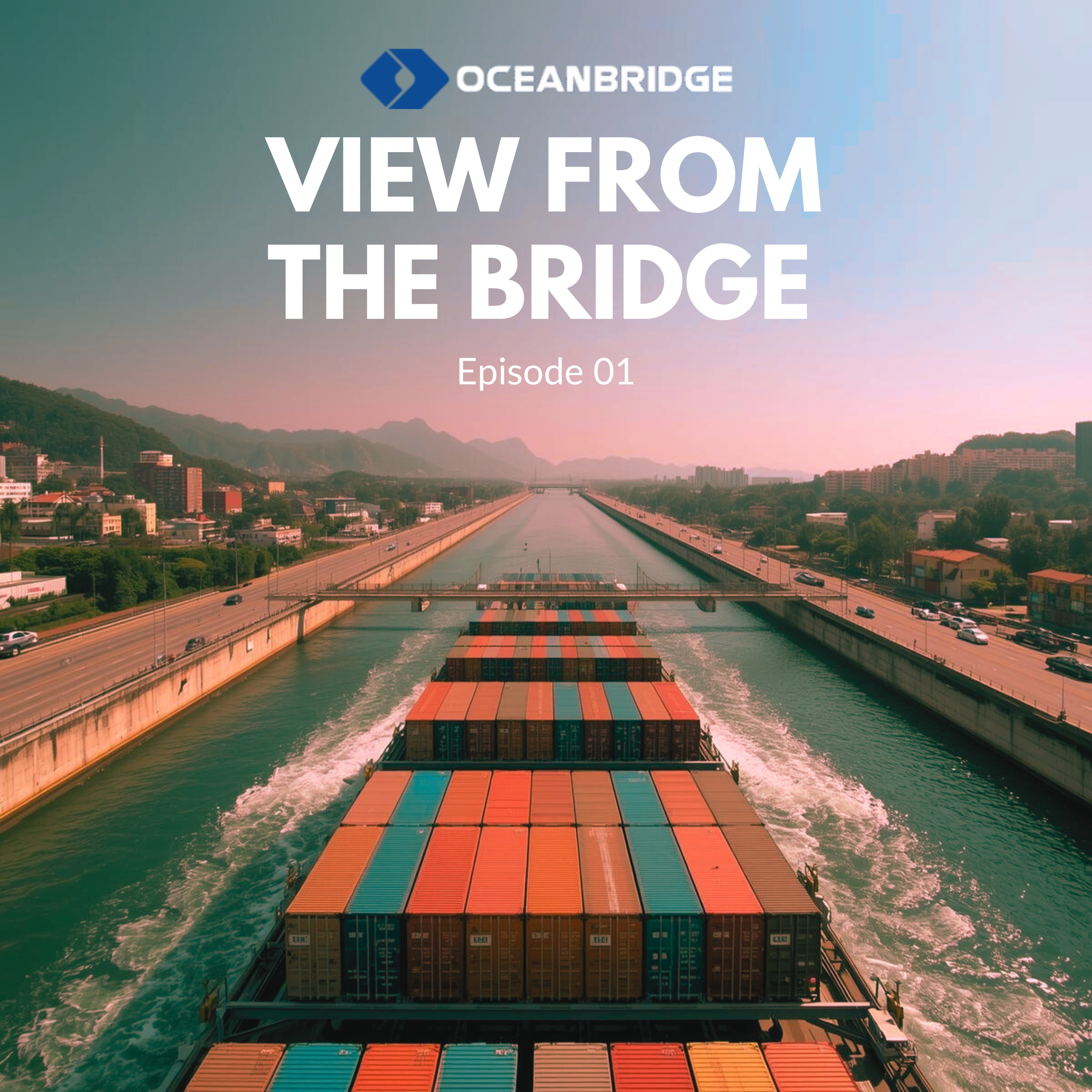 View from the Bridge 23.02.2026 episode artwork