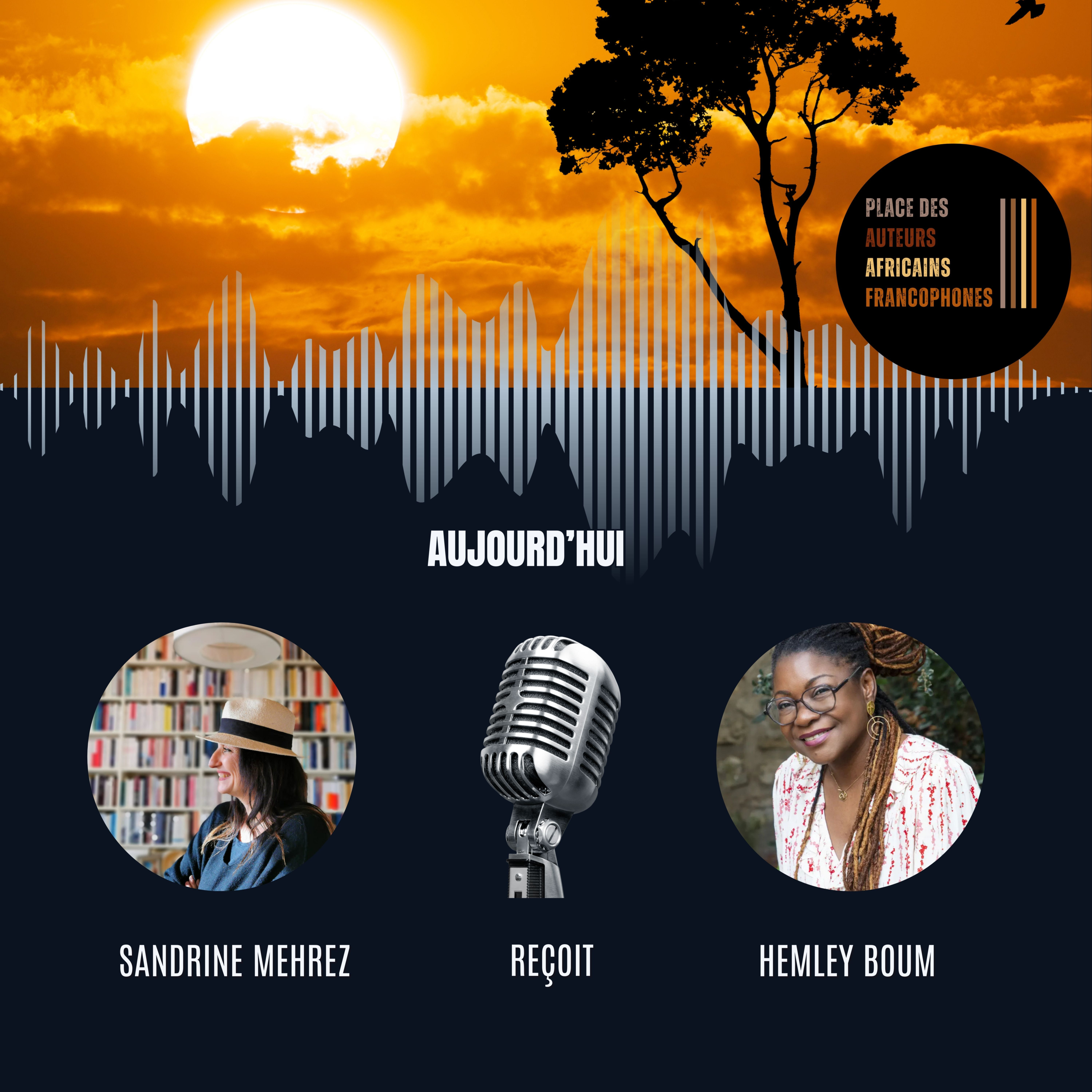 Video - Hemley Boum : Quand l'Afrique Raconte - Entretien avec Sandrine Mehrez episode artwork
