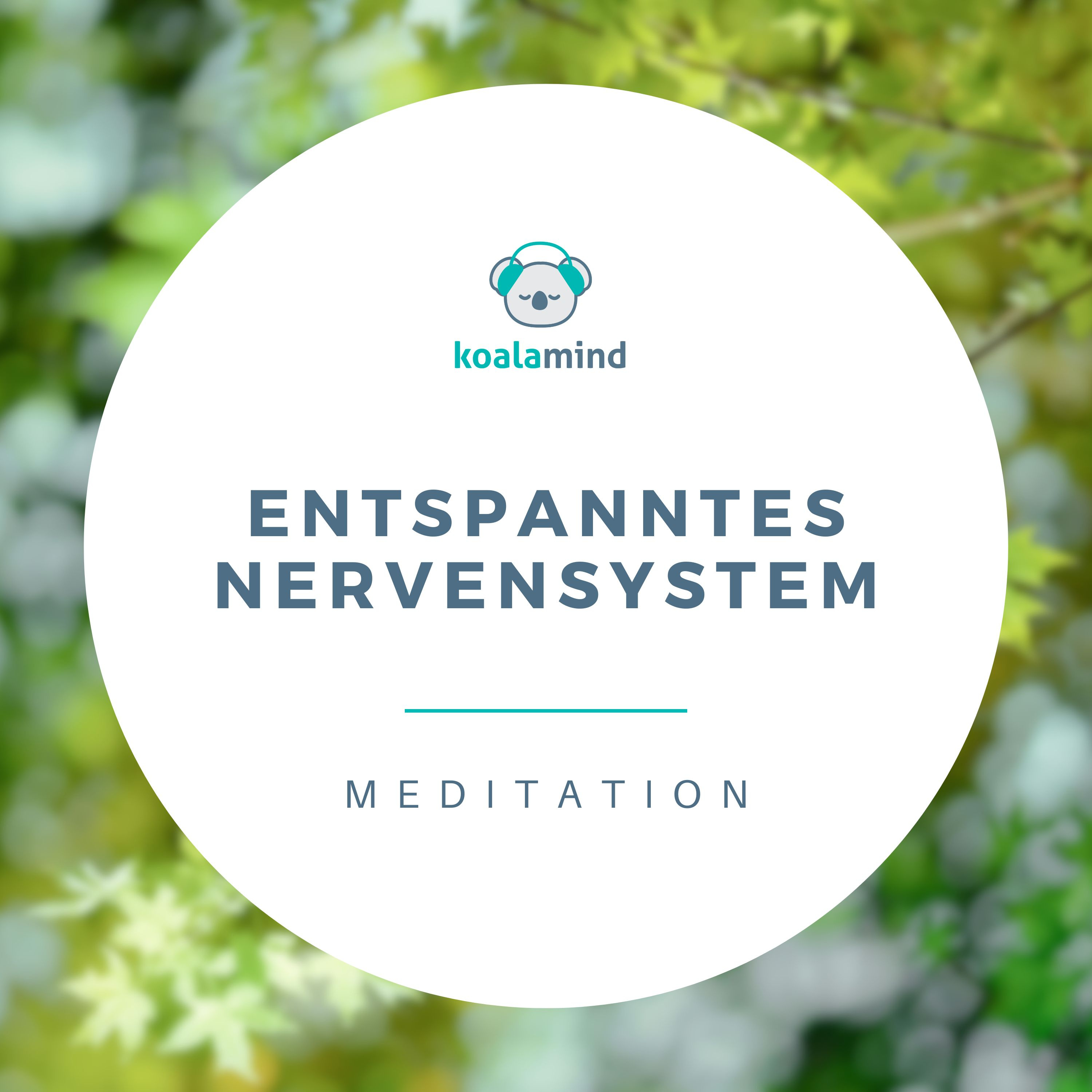 Meditation: Entspanntes Nervensystem