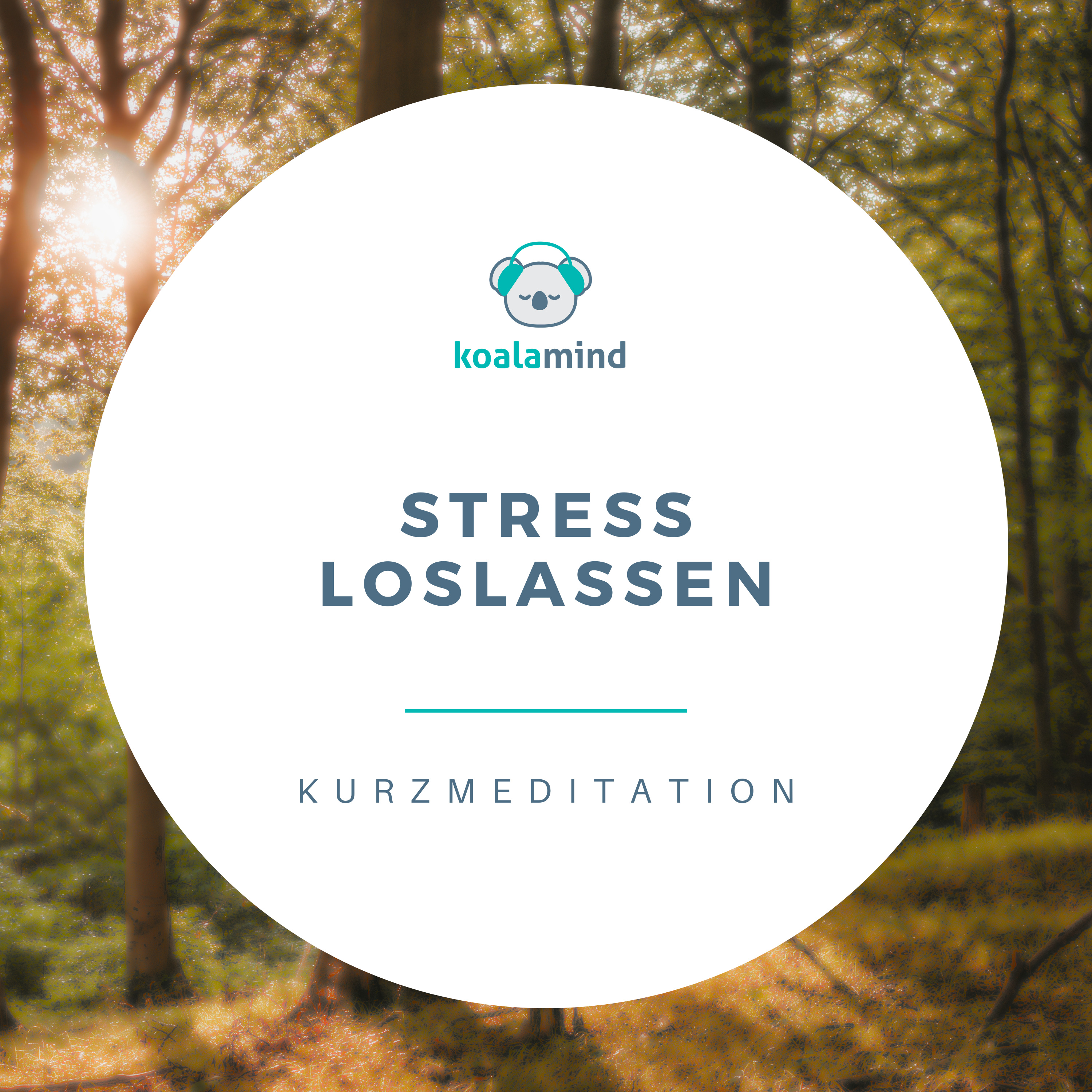 Meditation: Stress loslassen