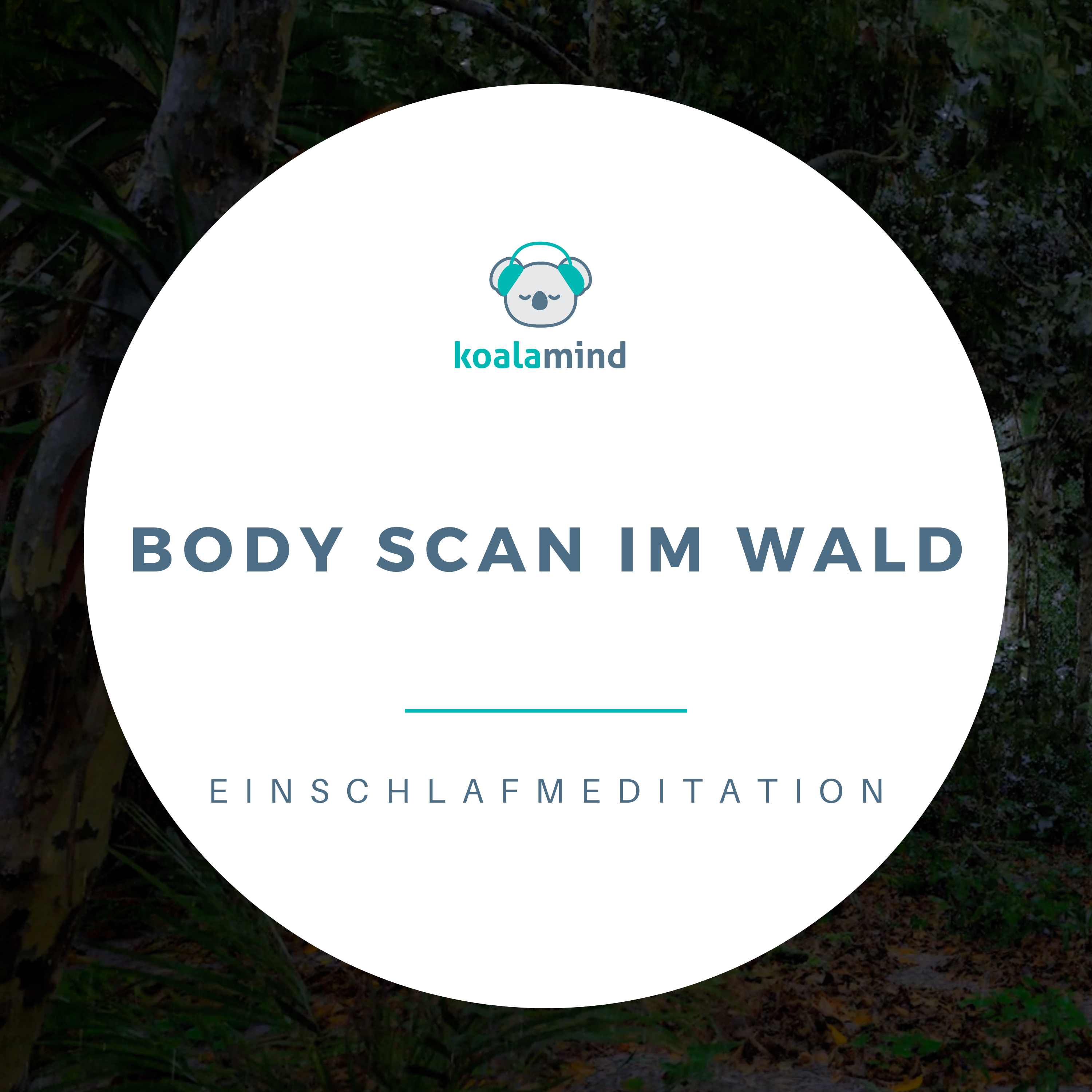 Einschlafmeditation: Body Scan im Wald