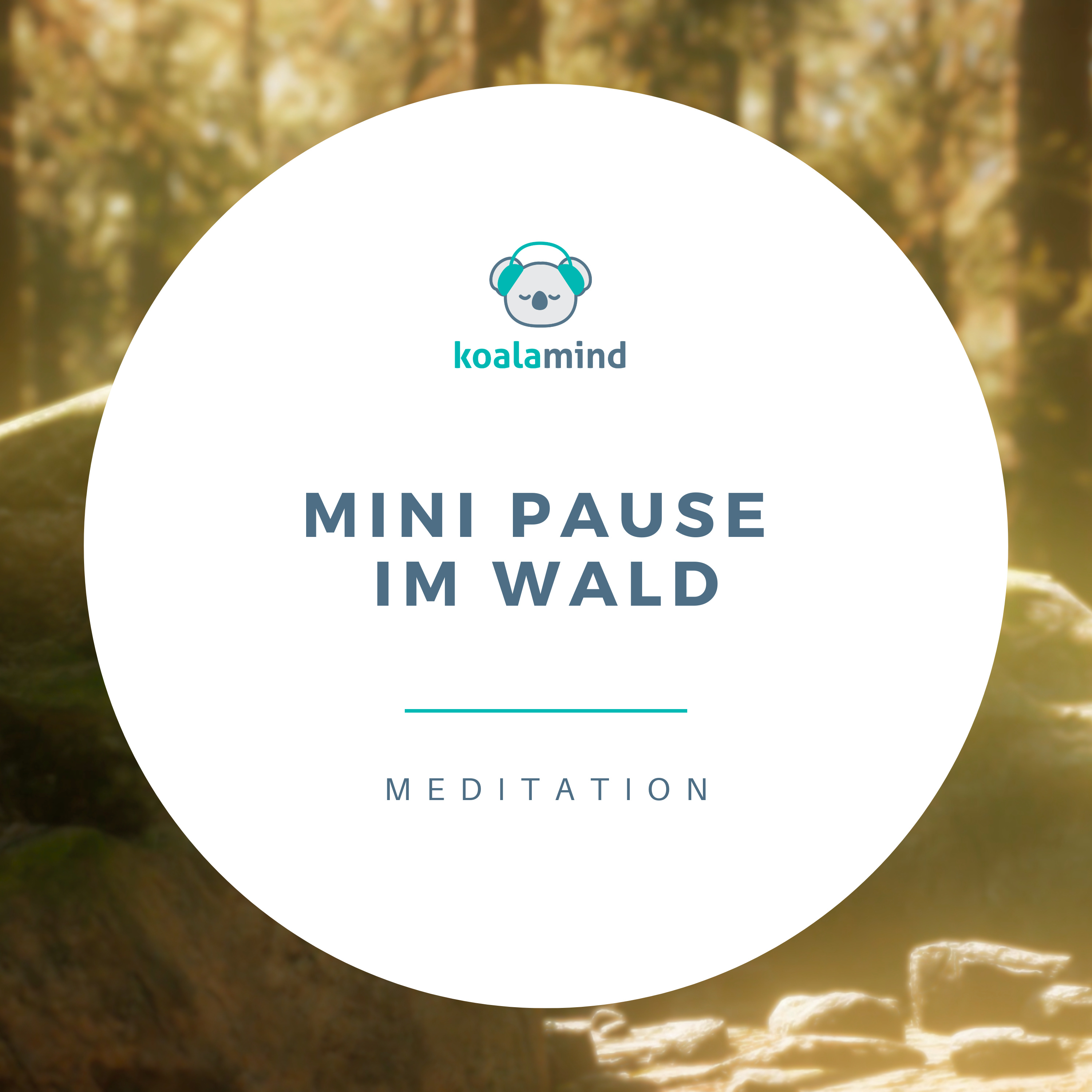 Meditation: Mini Pause im Wald