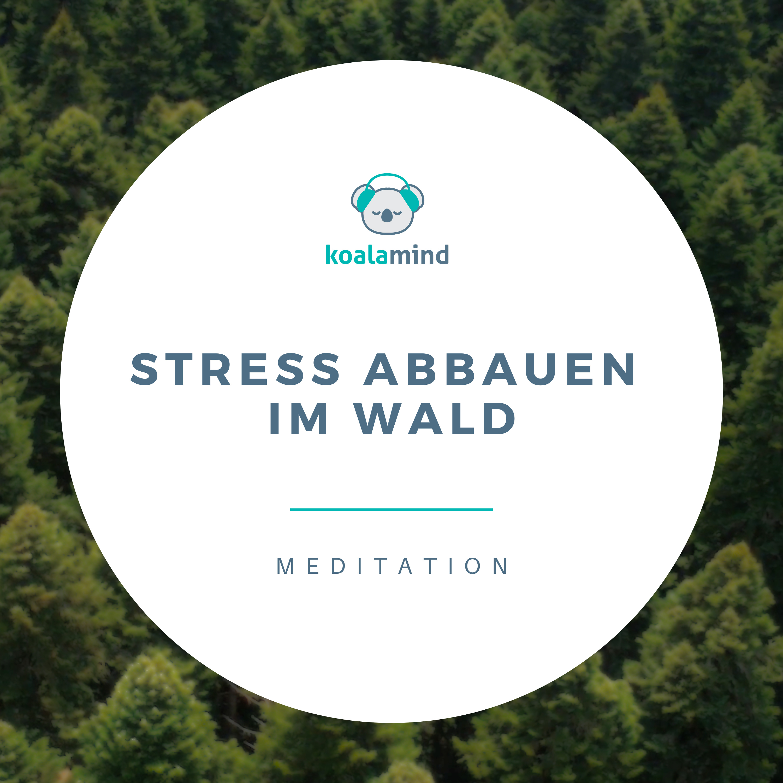 Meditation: Stress abbauen im Wald