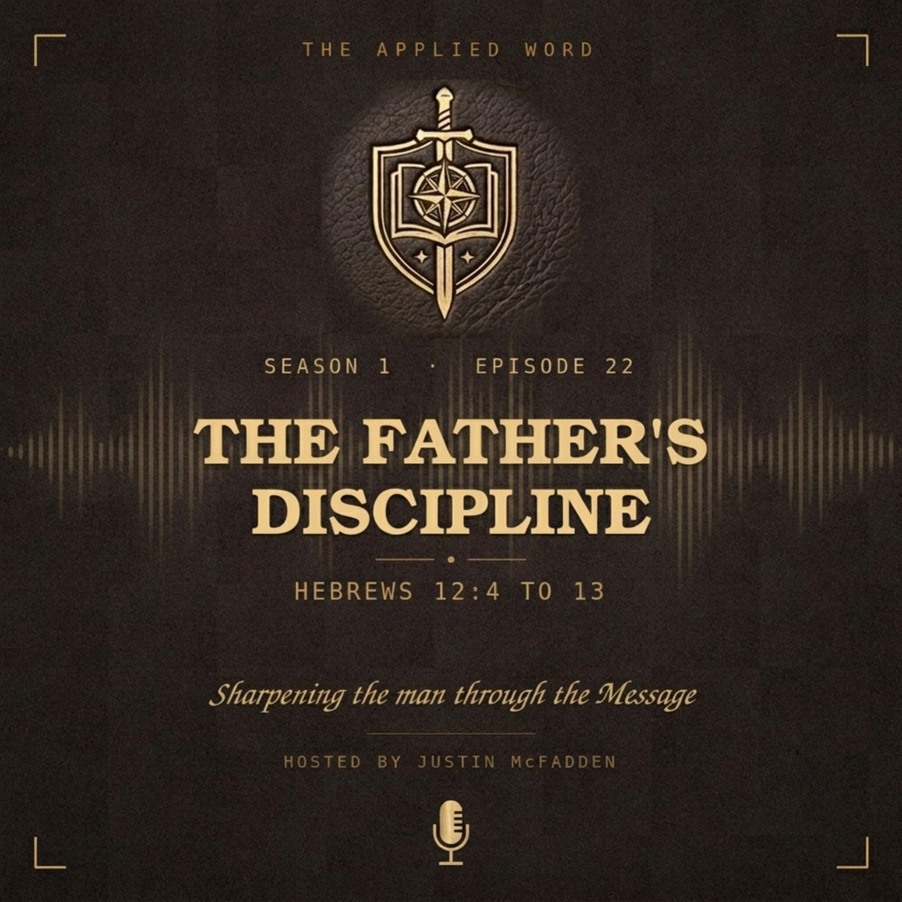The Father’s Discipline episode artwork