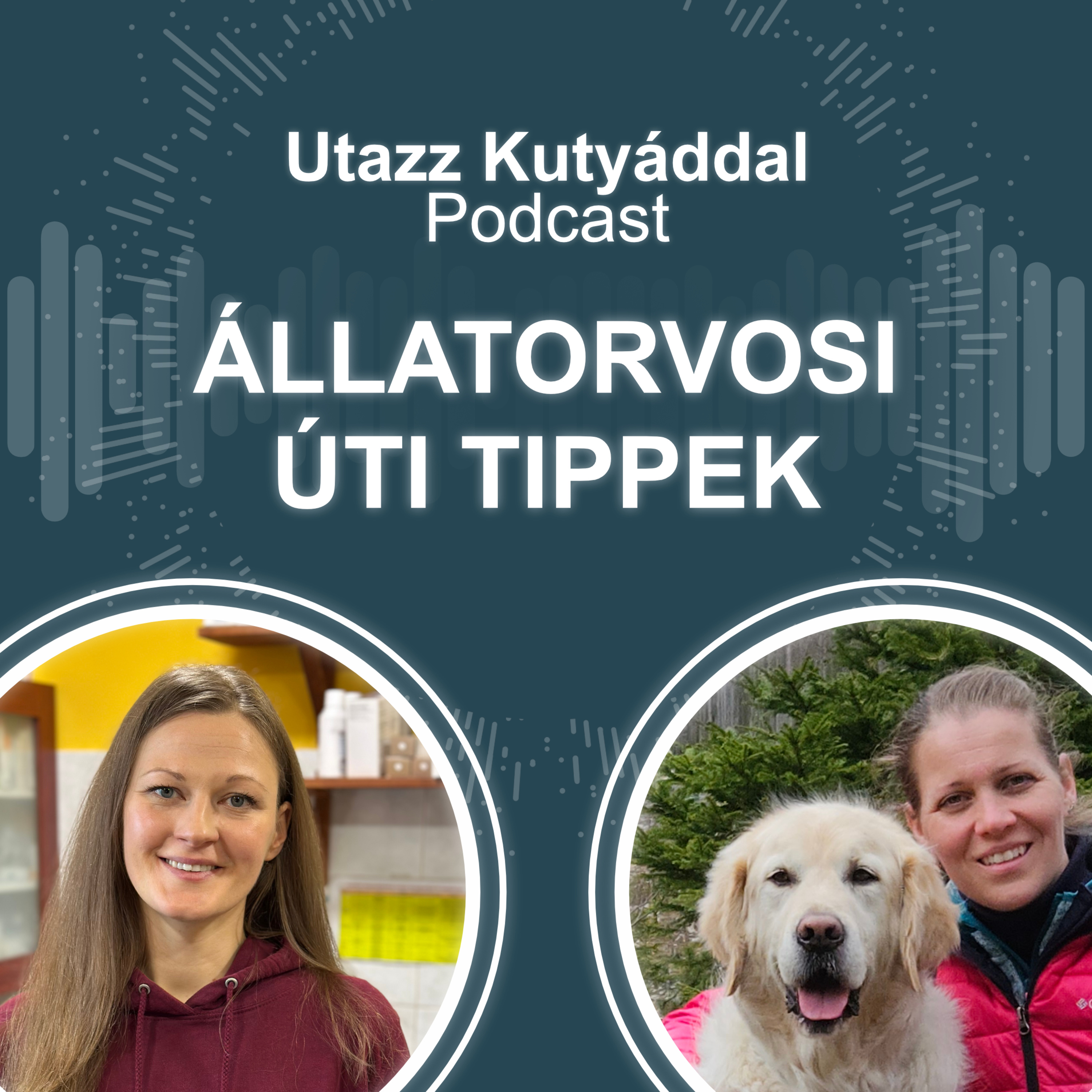 Állatorvosi úti tippek - Biztonságos utazás kutyával | Utazz Kutyáddal Podcast #3 episode artwork