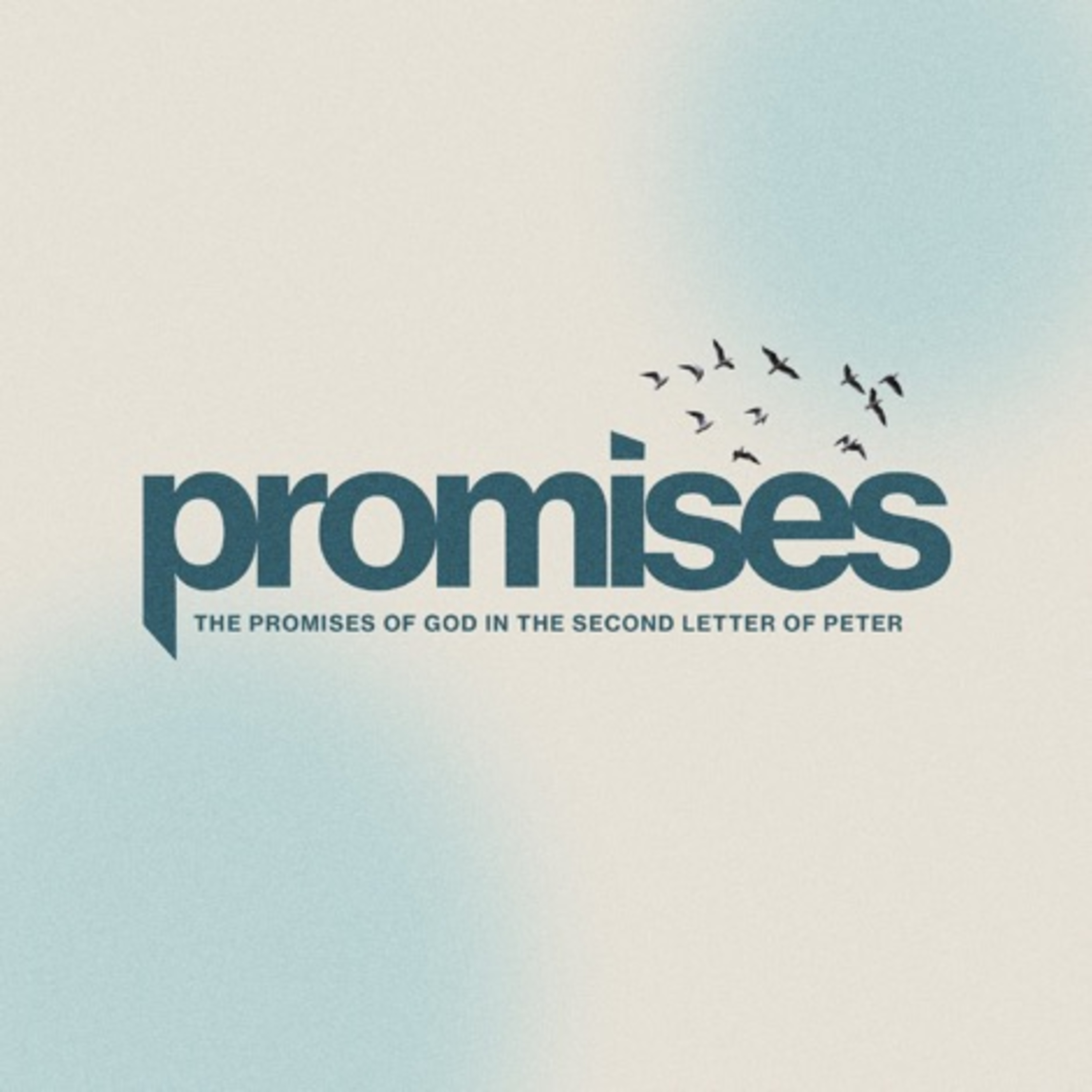 Promises: The Promise of Communication - Steve Cabral episode artwork