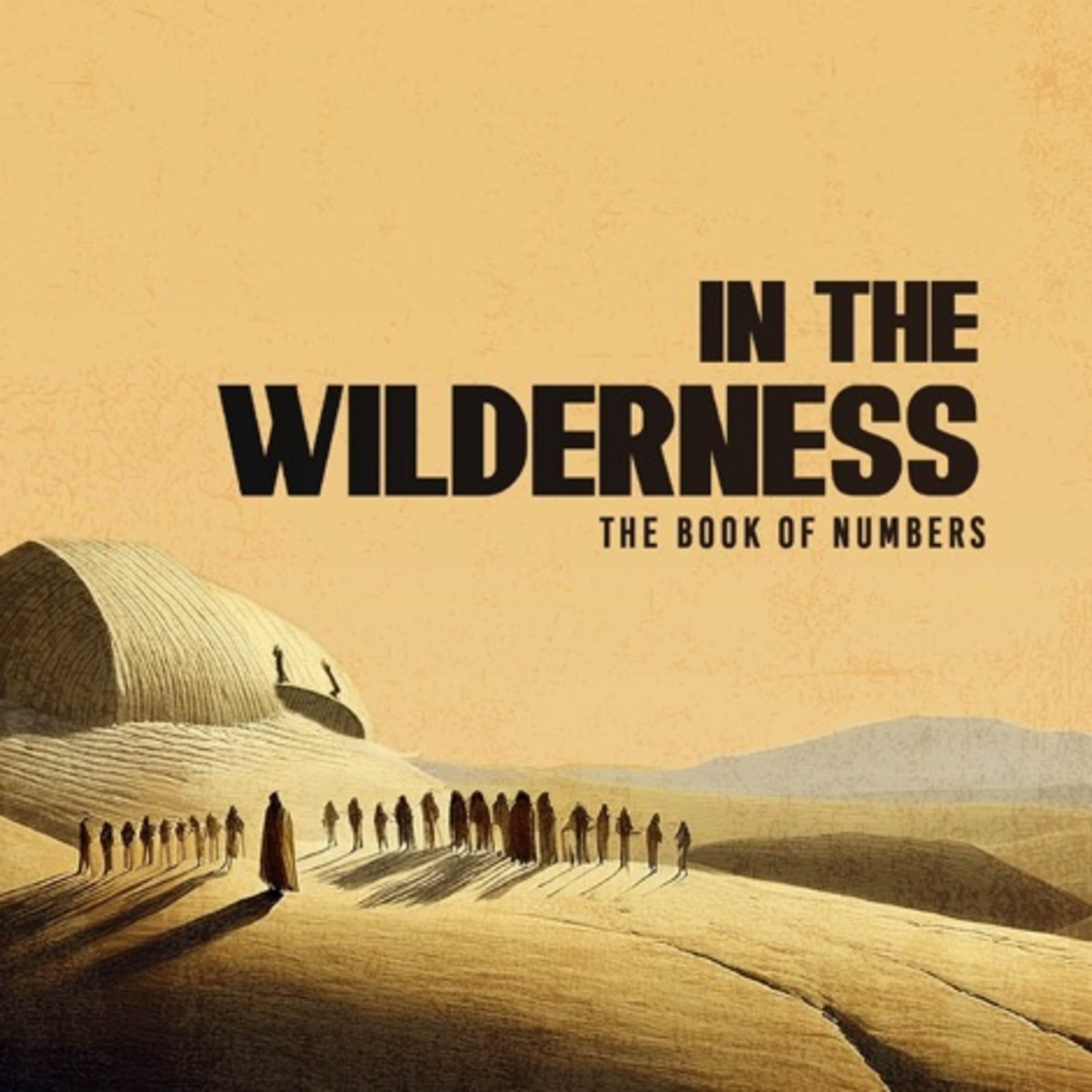 In The Wilderness: A Holy People - Justin Chapman episode artwork