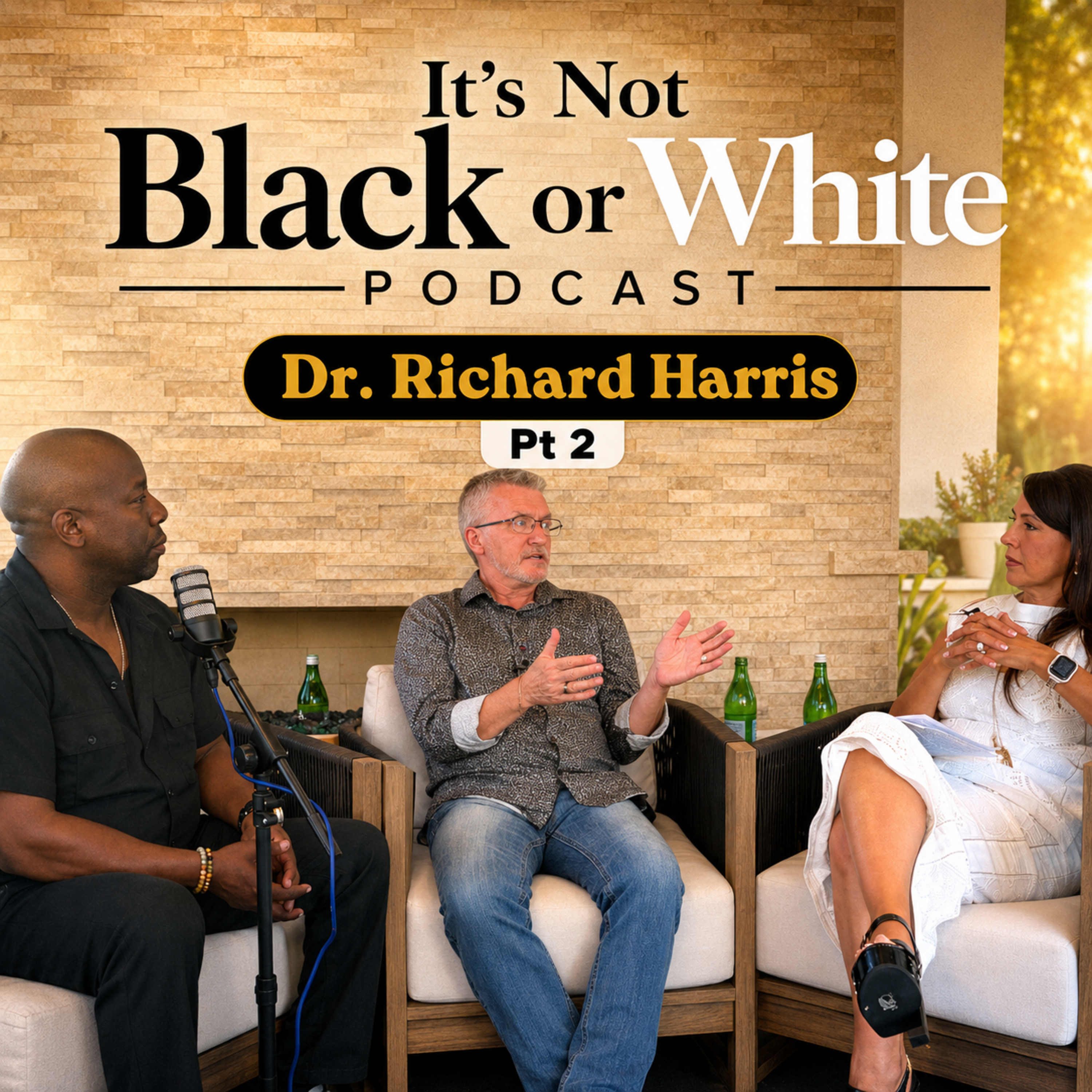 Dr. Richard Harris - Ibogaine- Pt 2 episode artwork