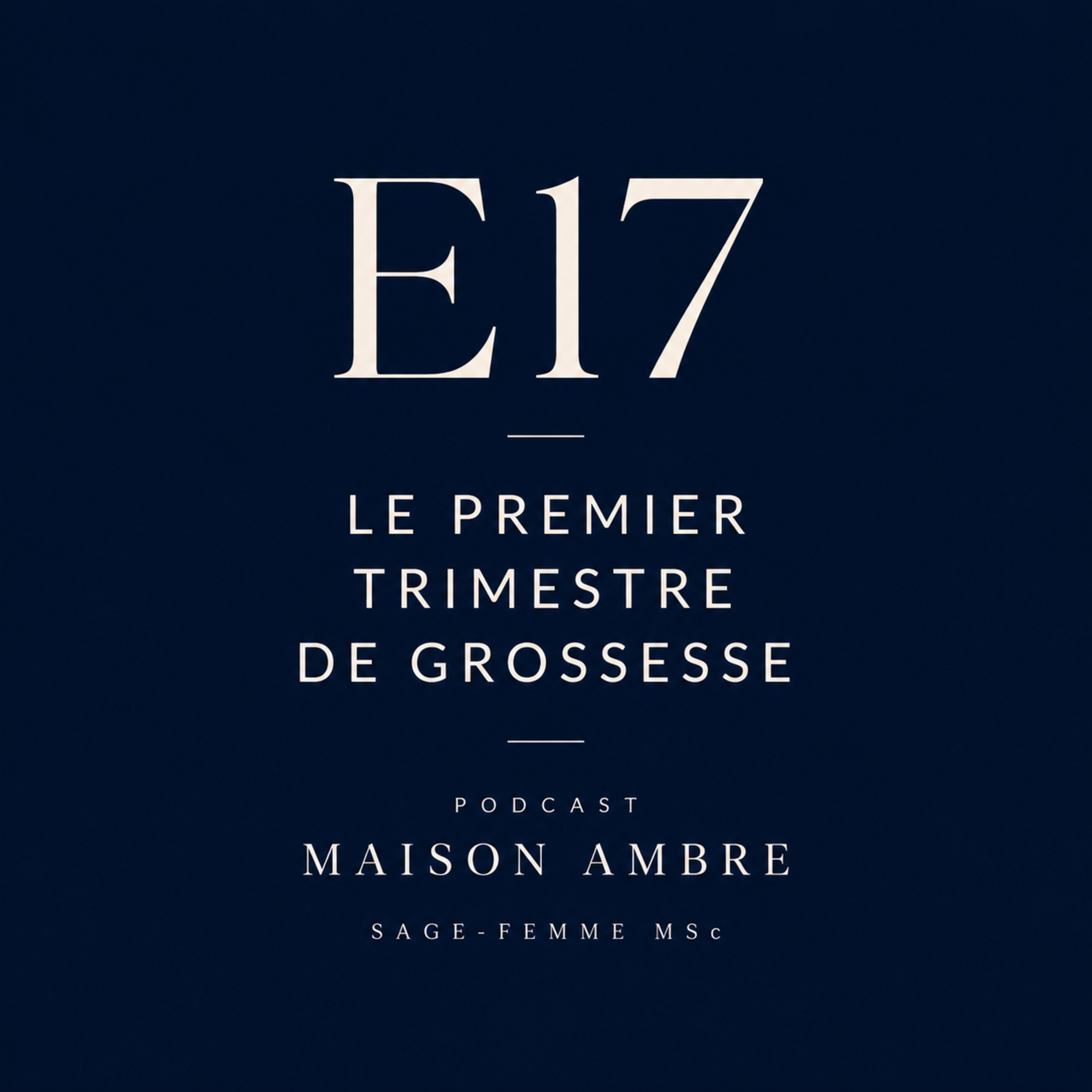 E17 : Le premier trimestre de la grossesse episode artwork
