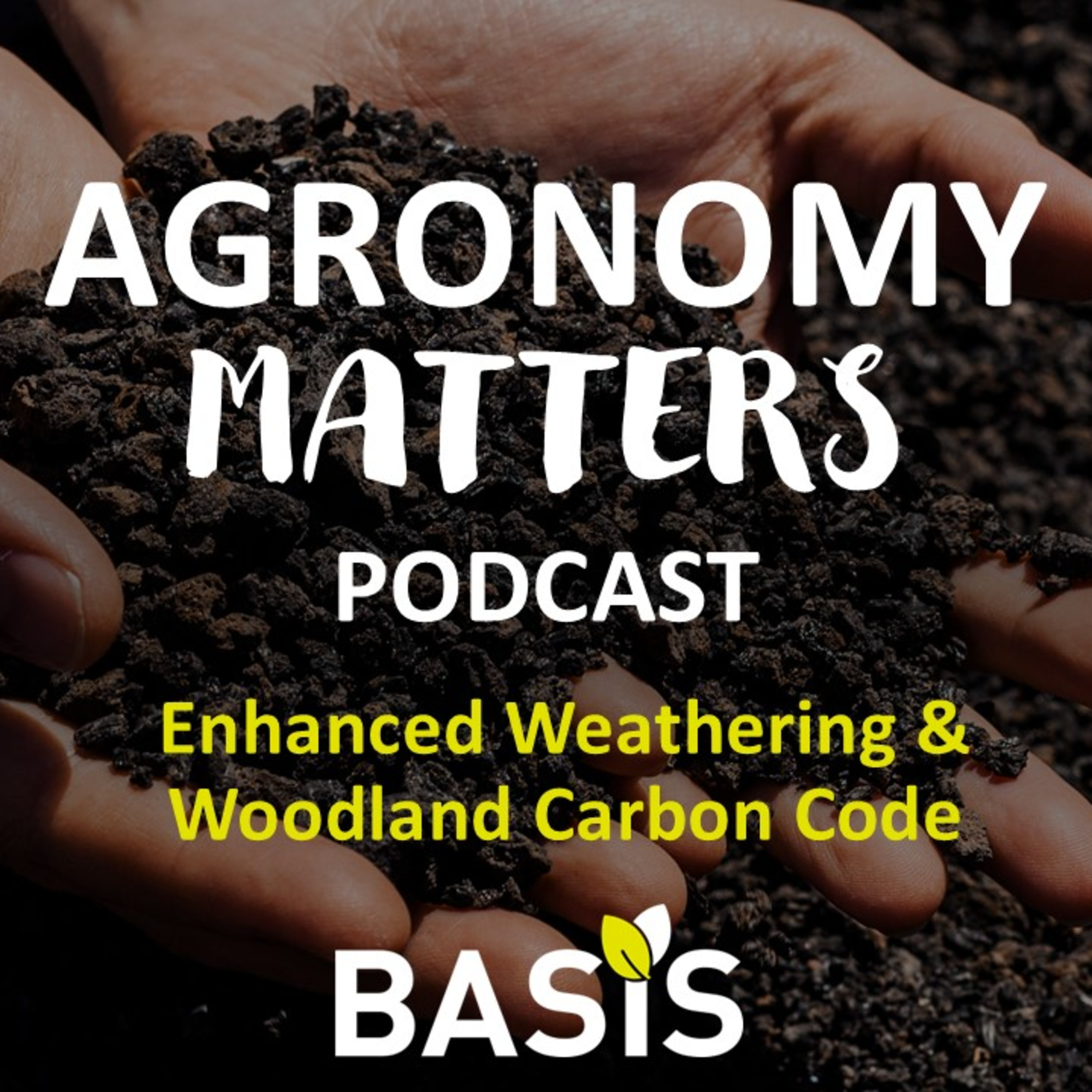 Enhanced Weathering & Woodland Carbon Code