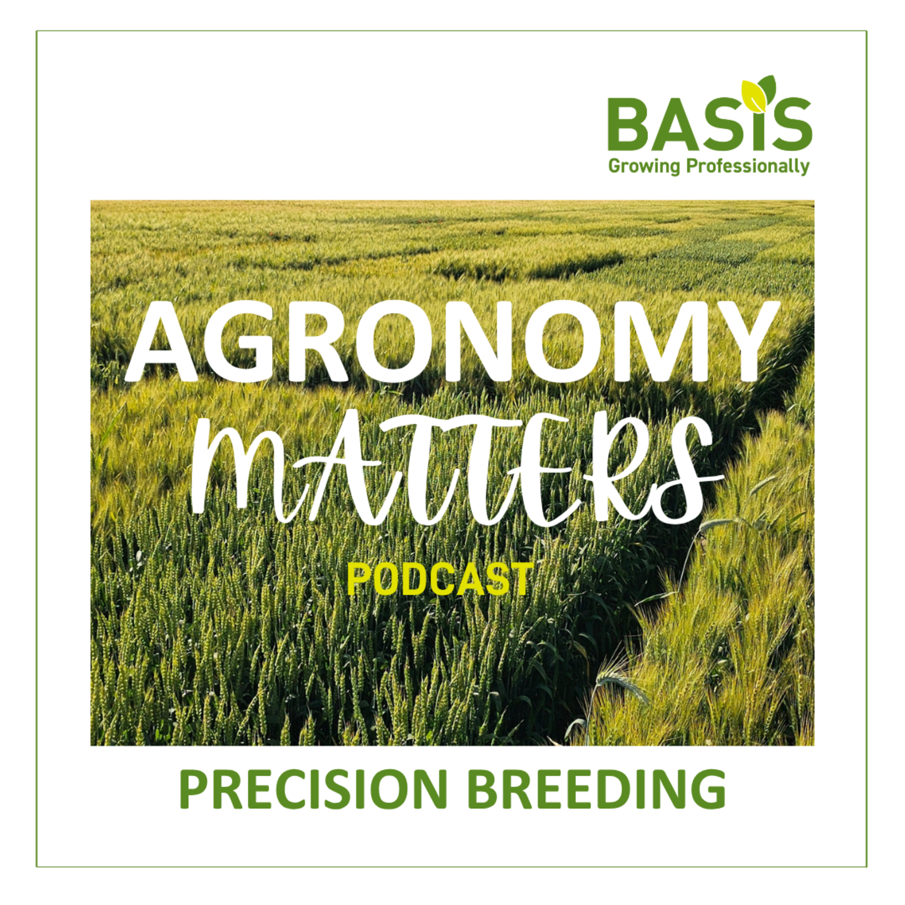 BASIS Agronomy Matters