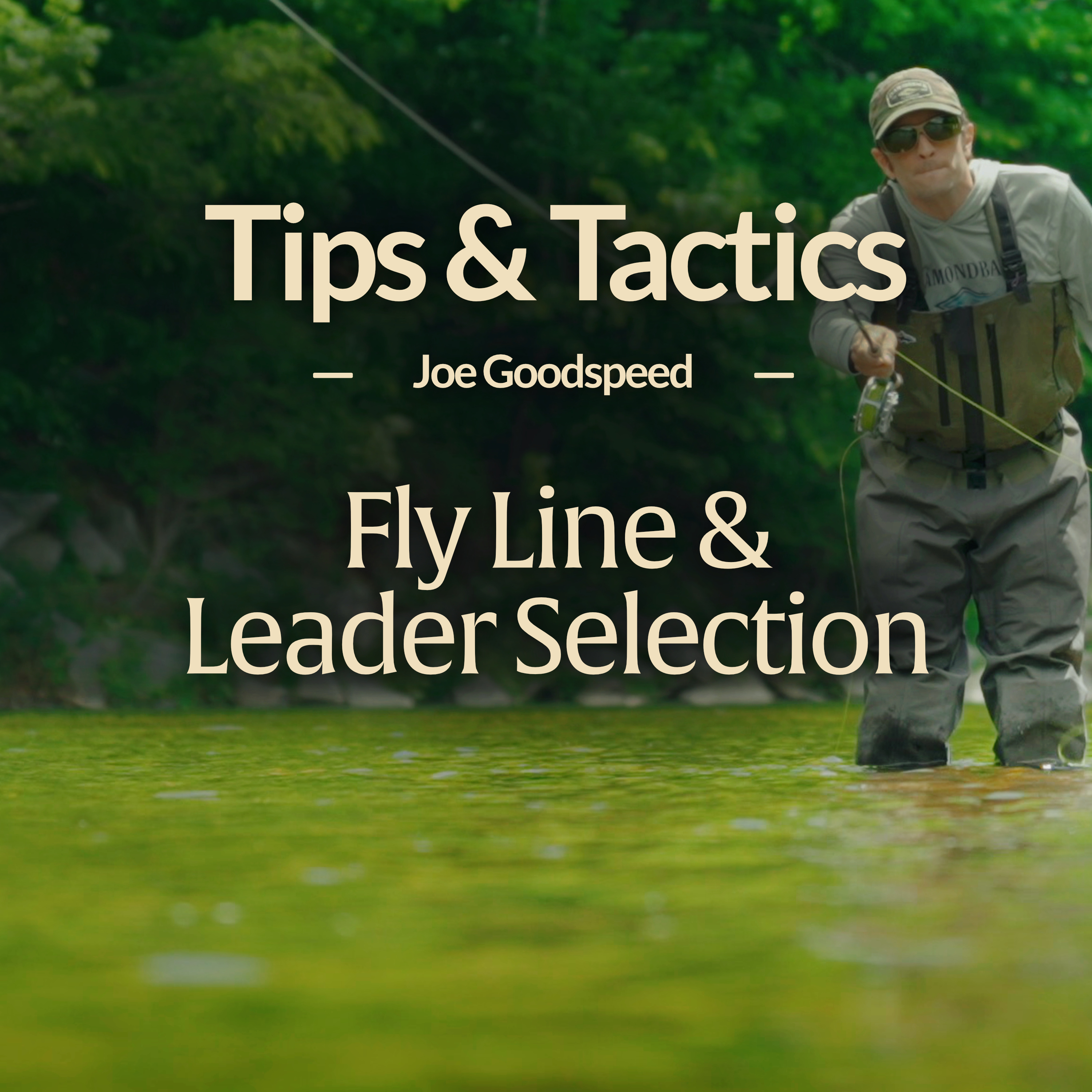 Tips and Tactics: Fly Line and Leader Selection with Joe Goodspeed episode artwork