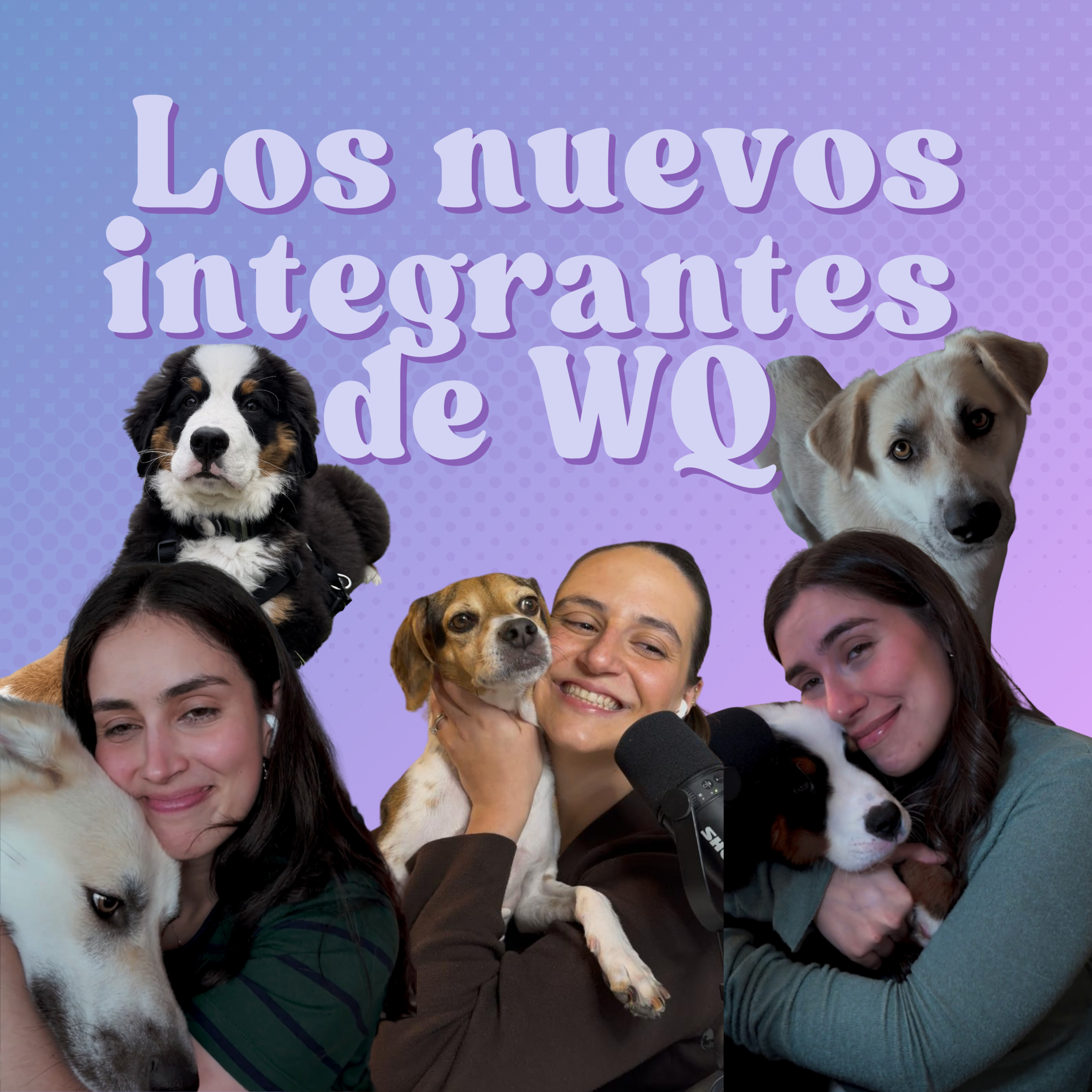 Ep. 220: Los nuevos integrantes de WQ episode artwork