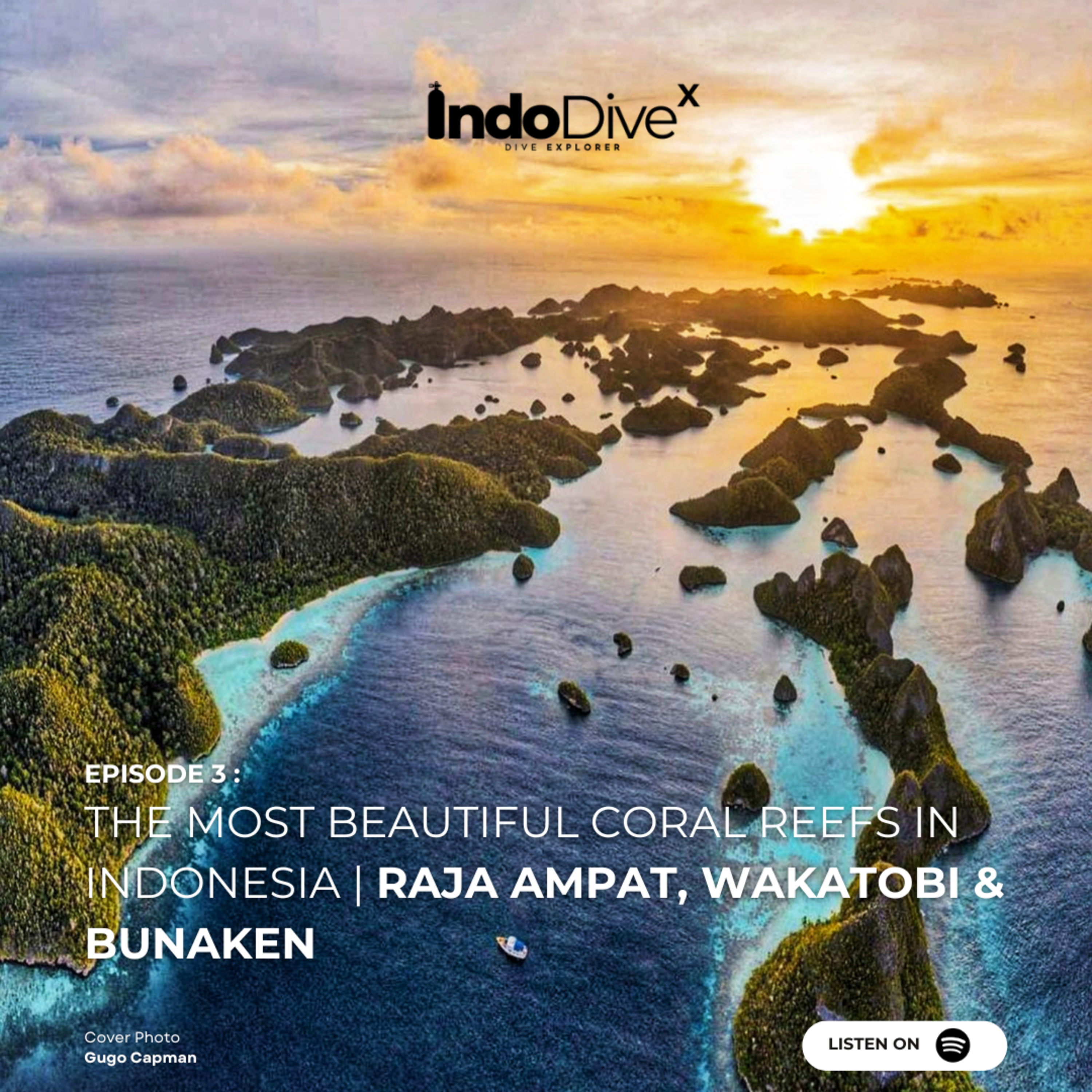 EPISODE 3 - The Most Beautiful Coral Reefs in Indonesia | Raja Ampat, Wakatobi & Bunaken | IndoDiveX episode artwork