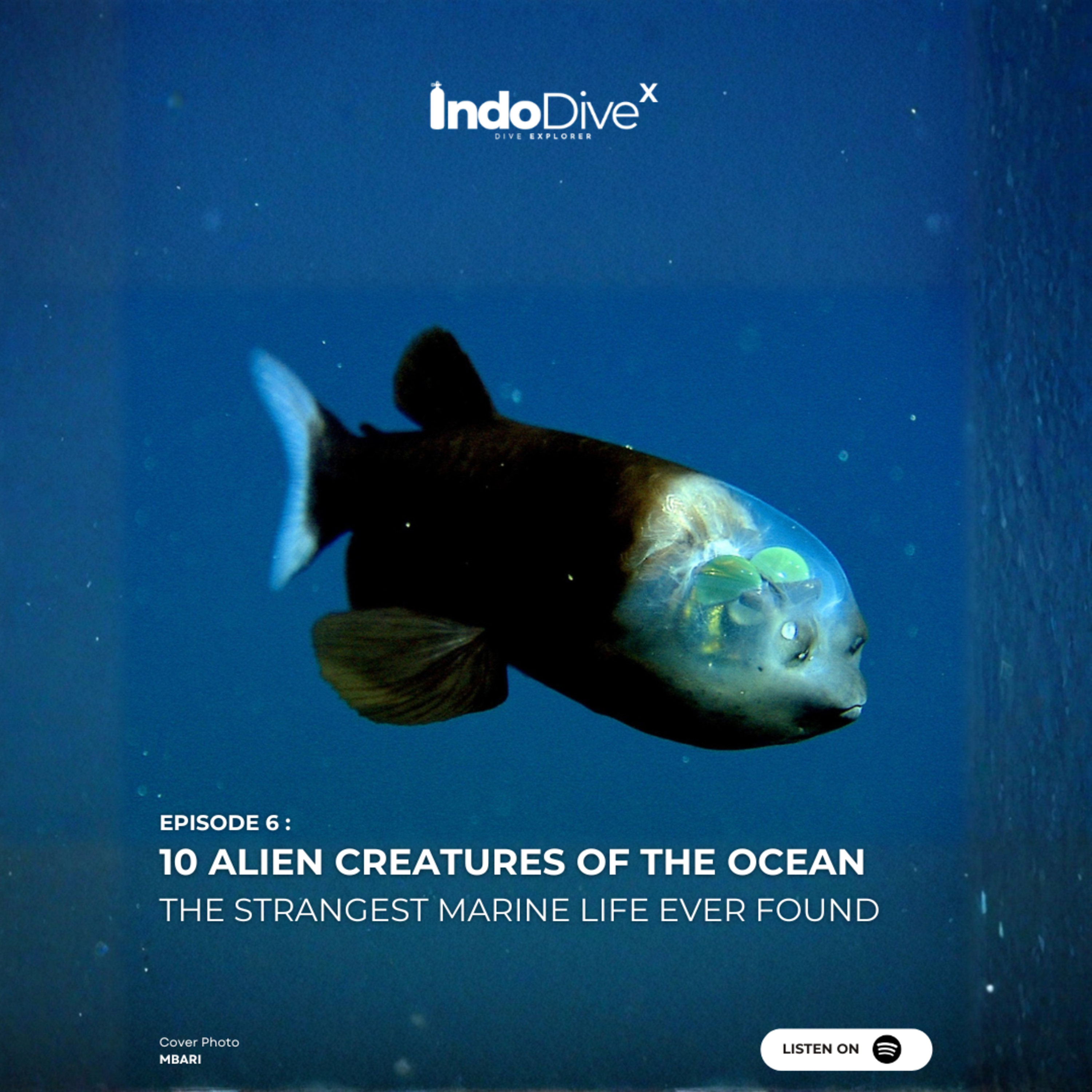 EPISODE 6 - 10 Alien Creatures of the Ocean | The Strangest Marine Life Ever Found | IndoDiveX episode artwork