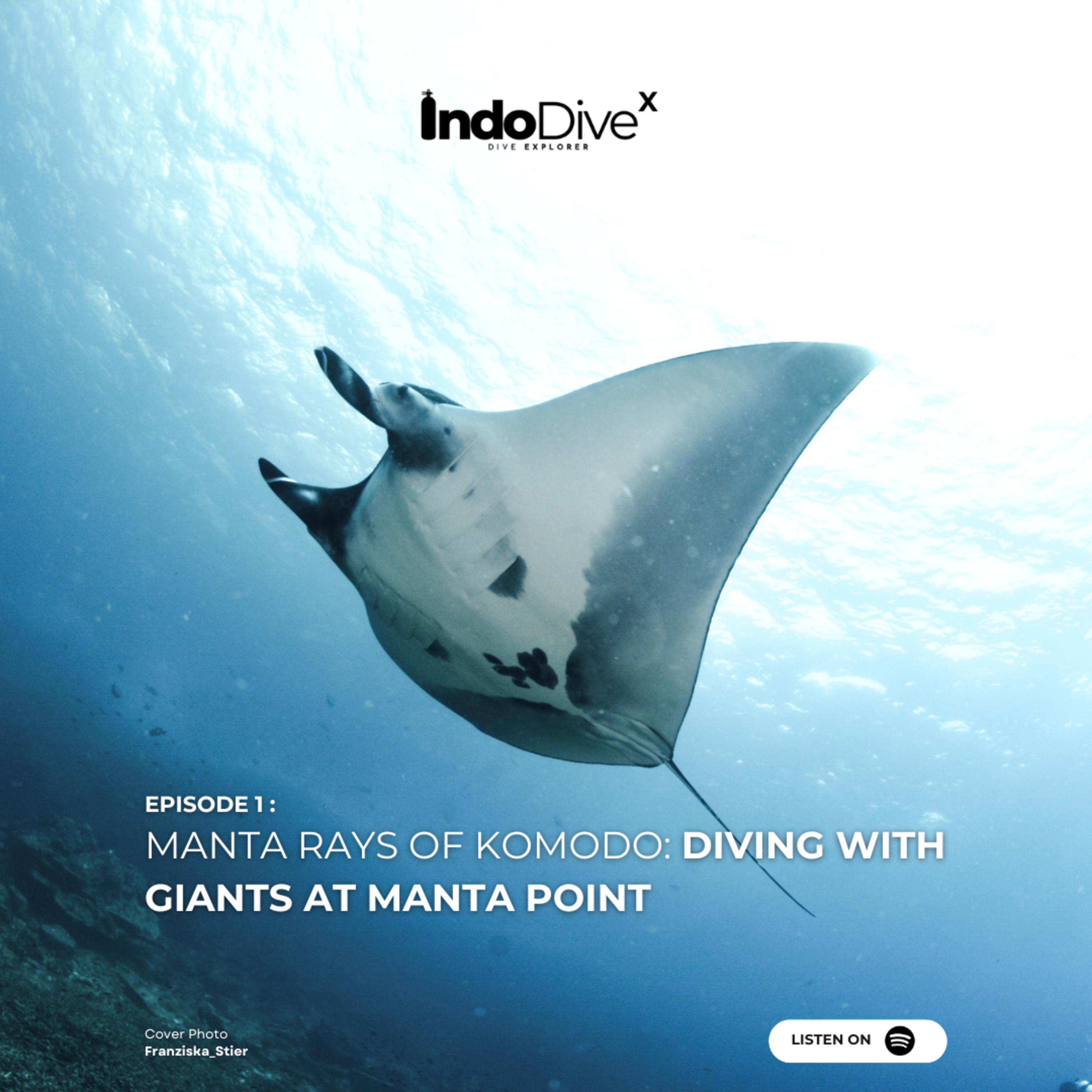EPISODE 1 - Manta Rays of Komodo: Diving with Giants at Manta Point | IndoDiveX episode artwork