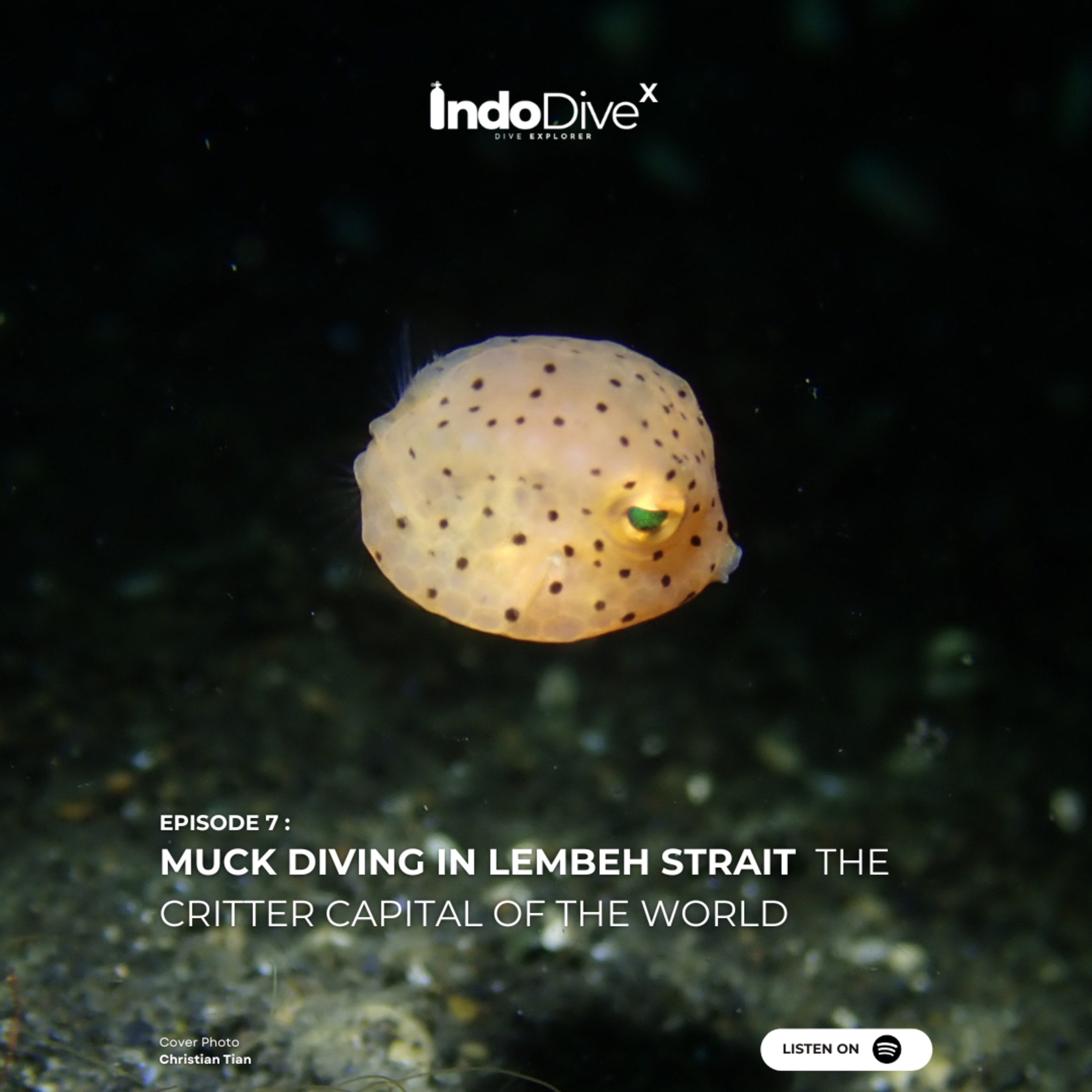 EPISODE 7 - Muck Diving in Lembeh Strait | The Critter Capital of the World | IndoDiveX episode artwork