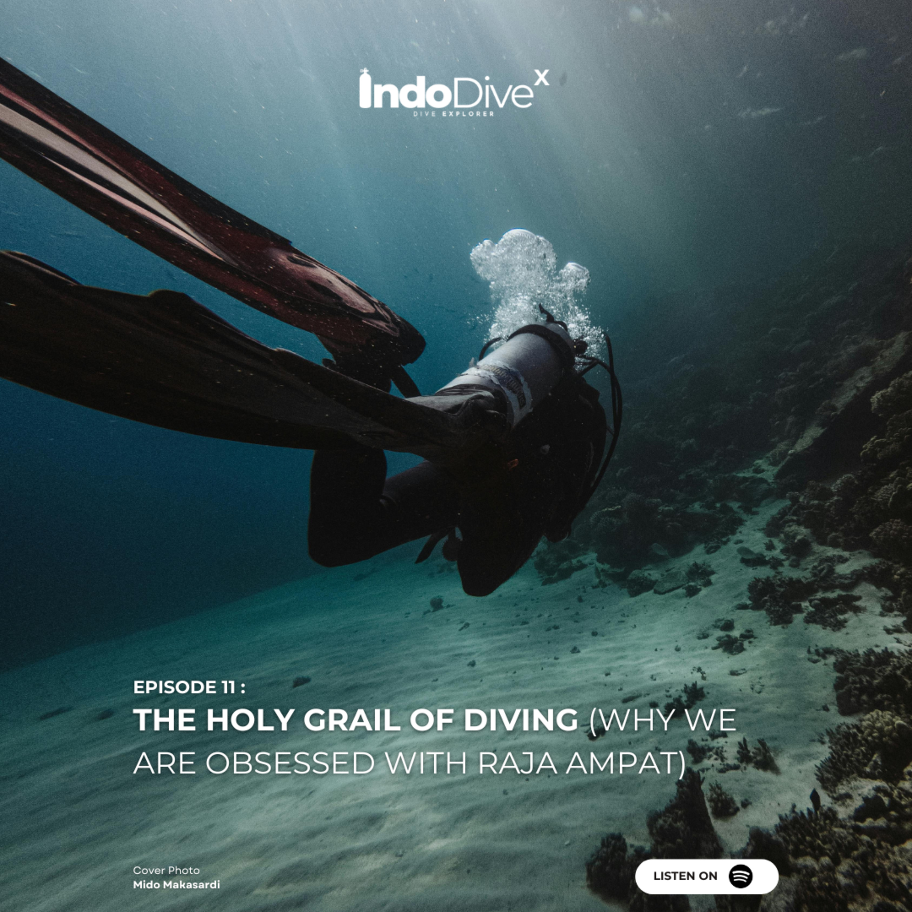 EPISODE 11 - The Holy Grail of Diving (Why We Are Obsessed with Raja Ampat) | IndoDiveX episode artwork