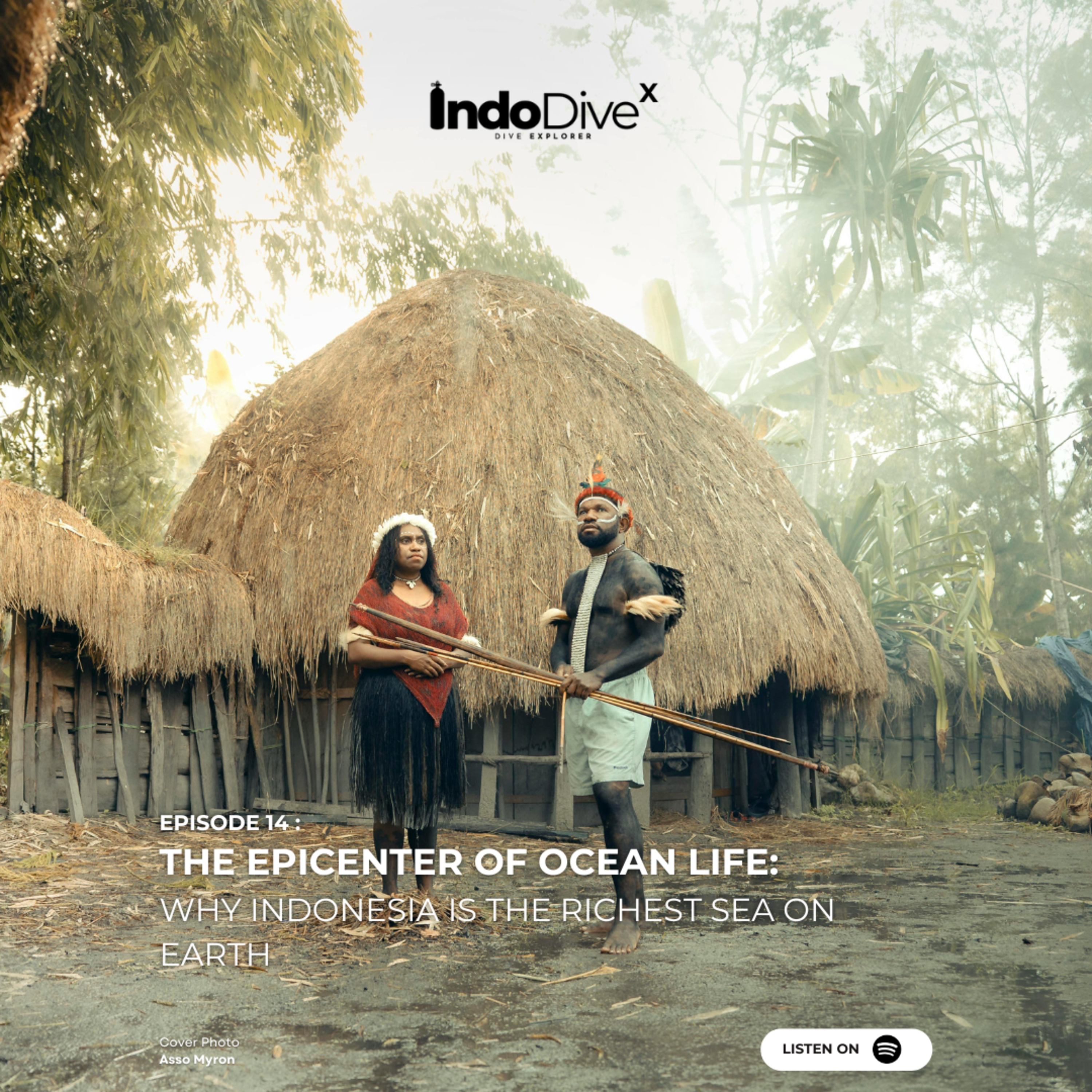 EPISODE 14 - The Epicenter of Ocean Life: Why Indonesia is the Richest Sea on Earth | IndoDiveX episode artwork