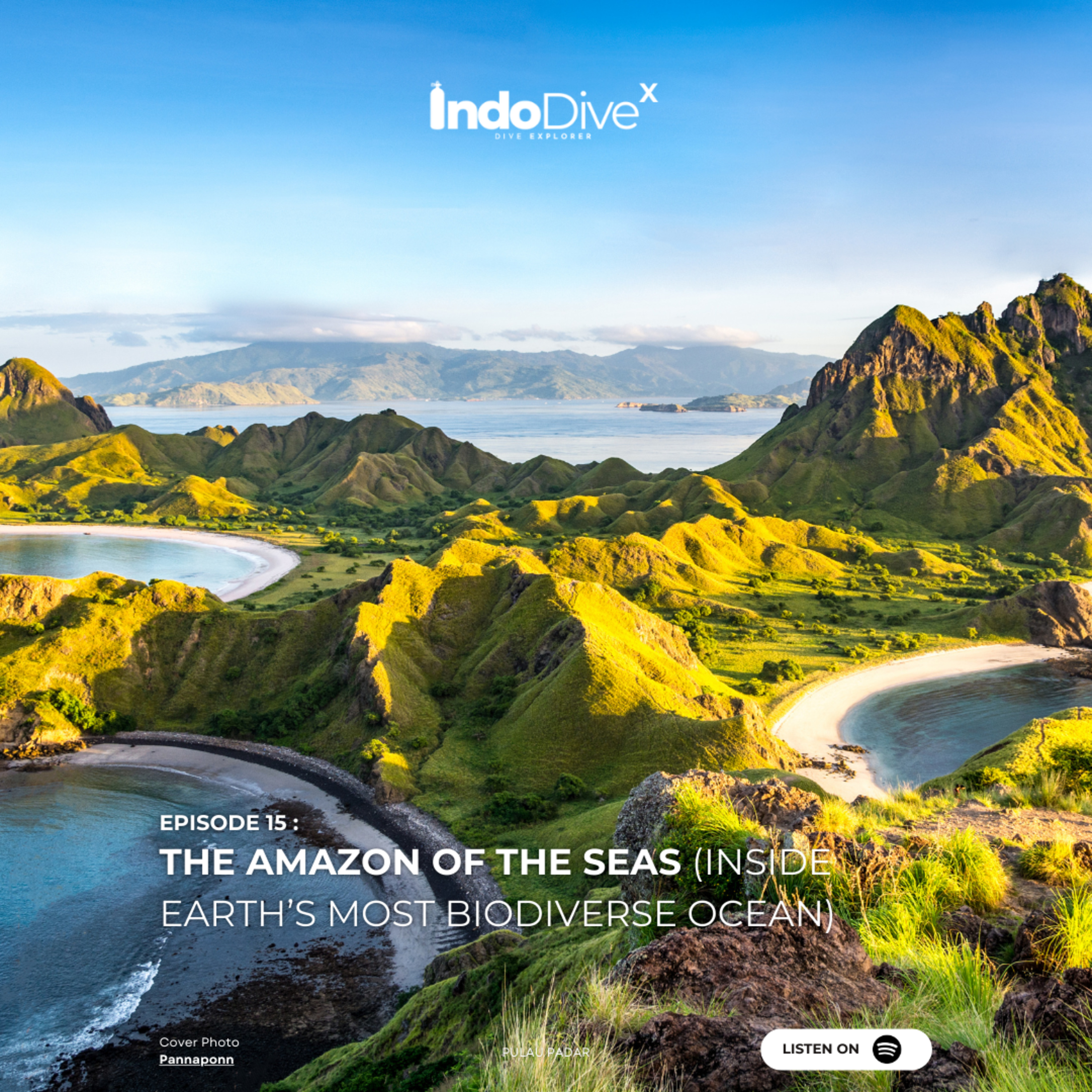 EPISODE 15 - The Amazon of the Seas (Inside Earth’s Most Biodiverse Ocean) | IndoDiveX episode artwork