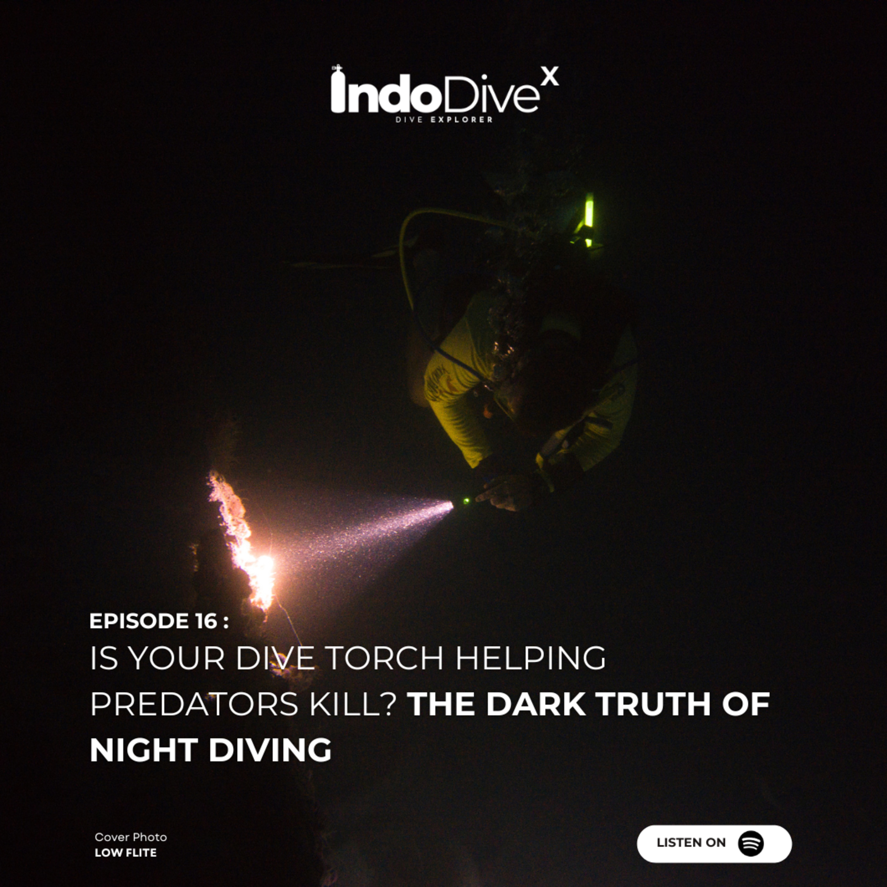 EPISODE 16 : Is Your Dive Torch Helping Predators Kill? The Dark Truth of Night Diving | IndoDiveX episode artwork