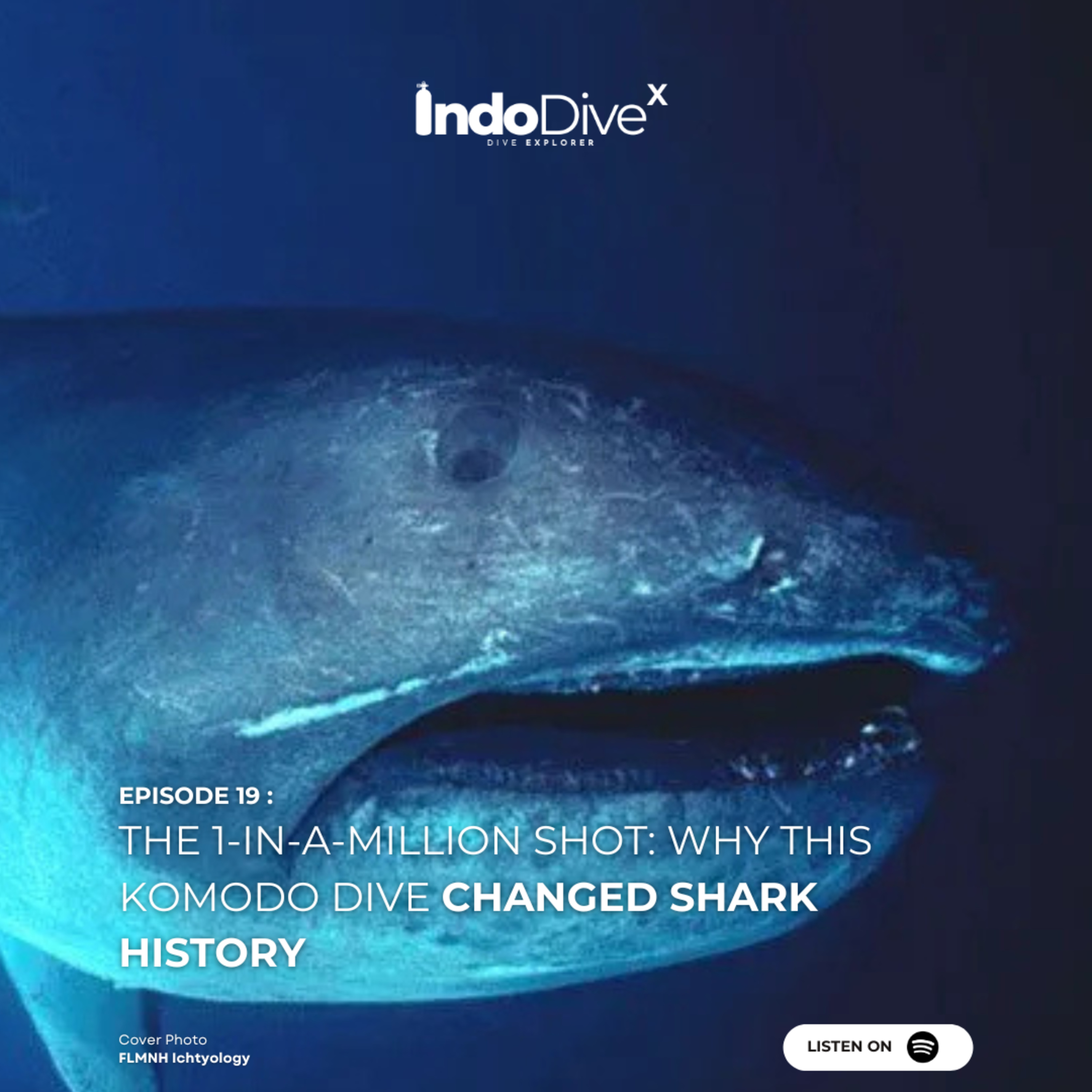 EPISODE 19 : The 1-in-a-Million Shot: Why This Komodo Dive Changed Shark History | IndoDiveX episode artwork