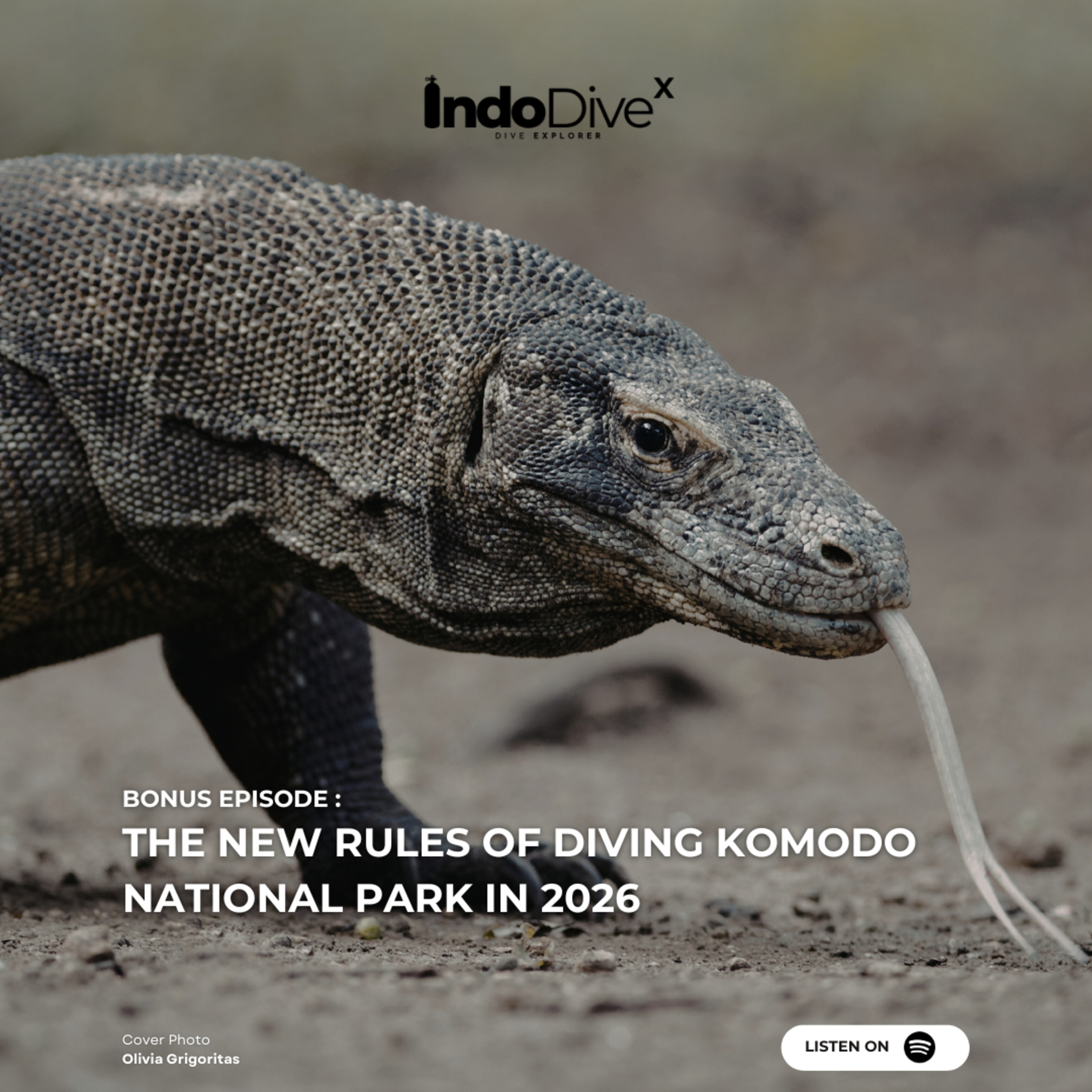 Bonus Episode - The New Rules of Diving Komodo National Park in 2026 episode artwork