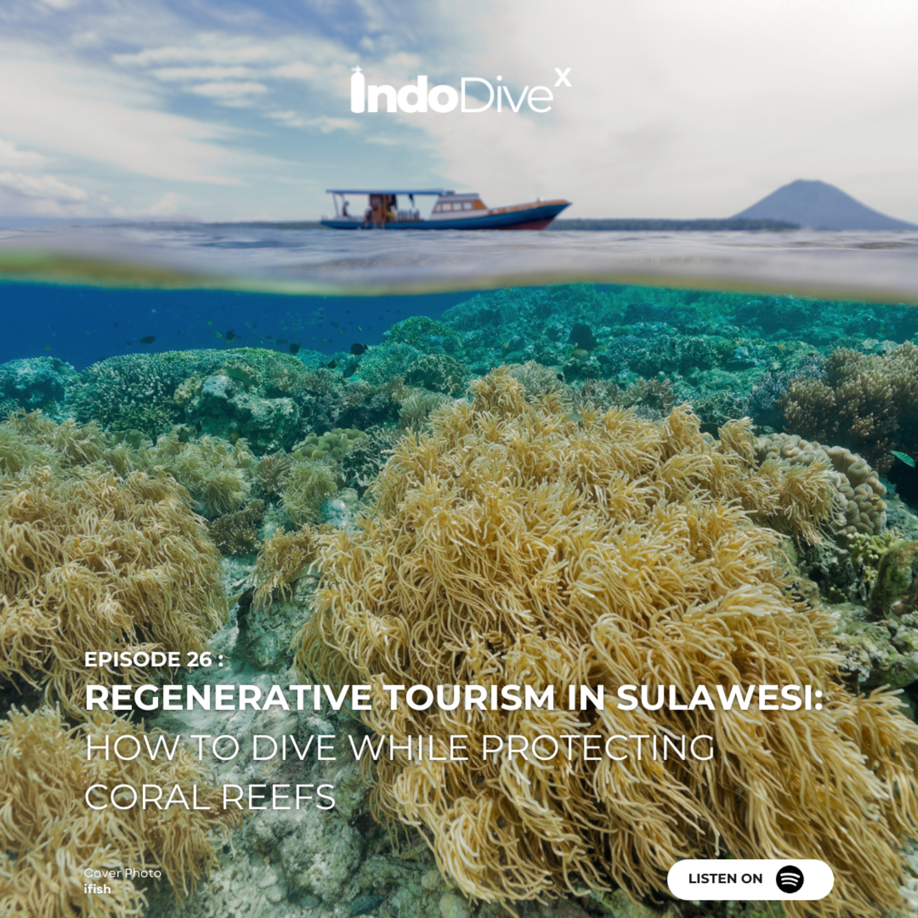 EPISODE 26 : Regenerative Tourism in Sulawesi: How to Dive While Protecting Coral Reefs | IndoDiveX episode artwork