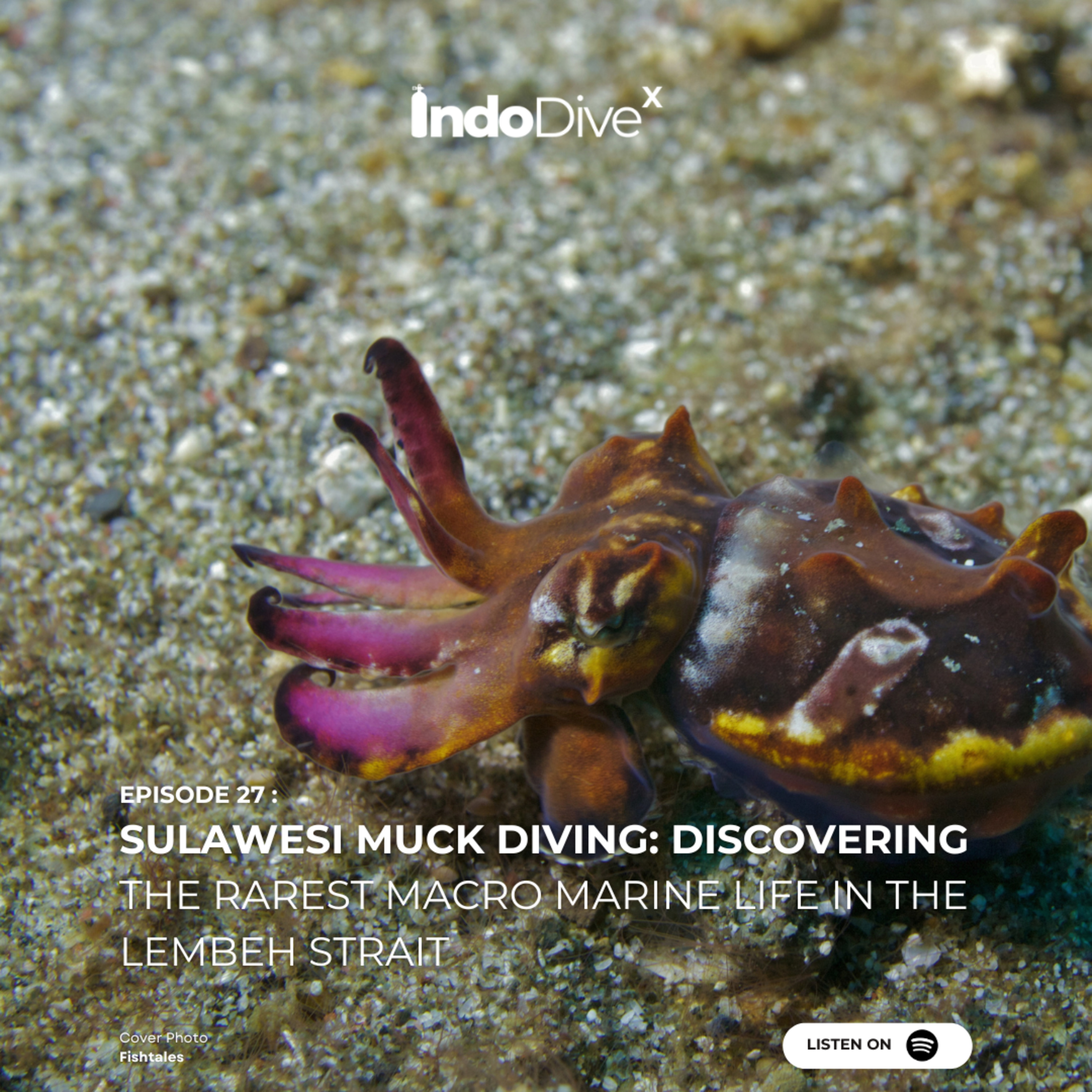 EPISODE 27 :Sulawesi Muck Diving: Discovering the Rarest Macro Marine Life in the Lembeh Strait | IndoDiveX episode artwork
