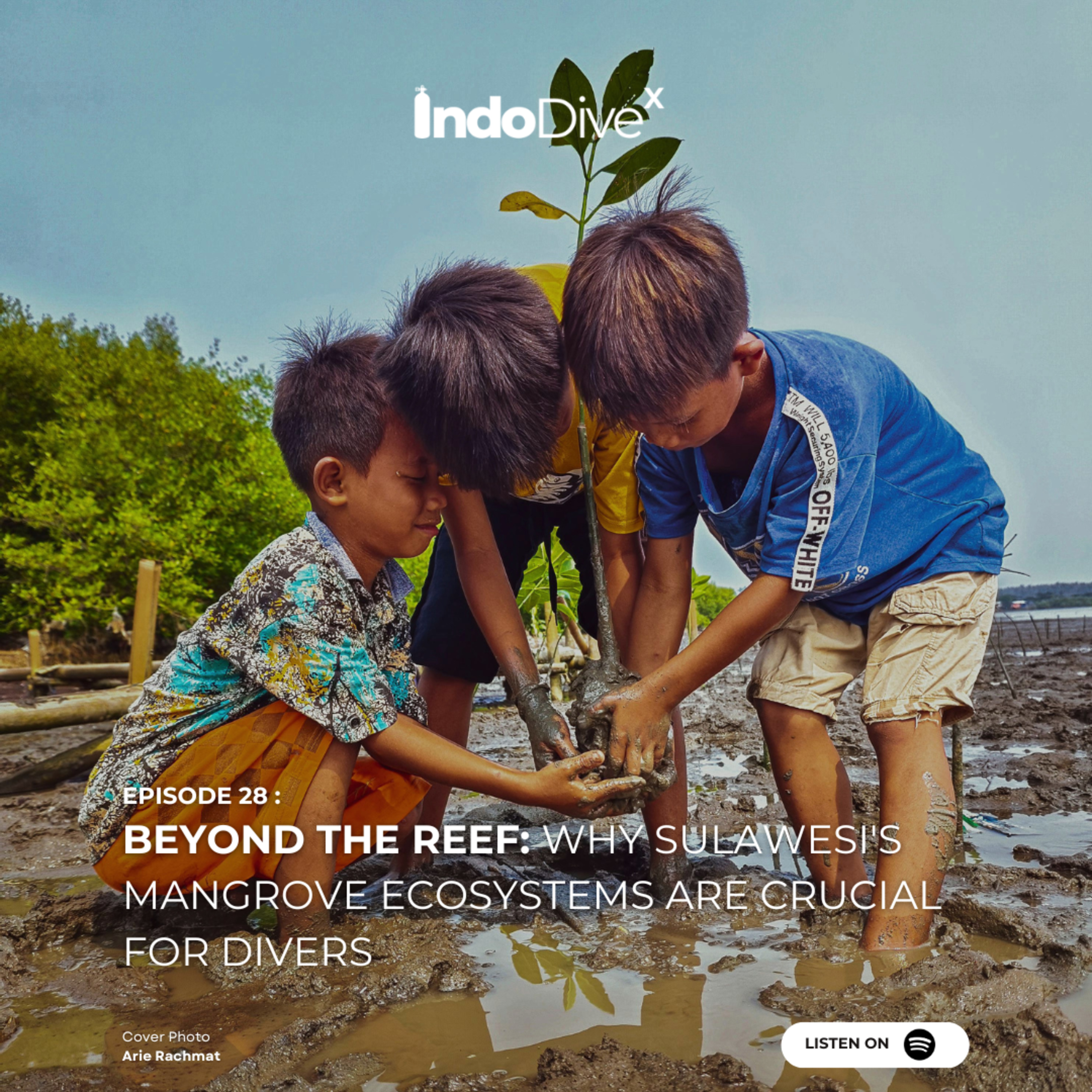 EPISODE 28 :Beyond the Reef: Why Sulawesi's Mangrove Ecosystems are Crucial for Divers | IndoDiveX episode artwork