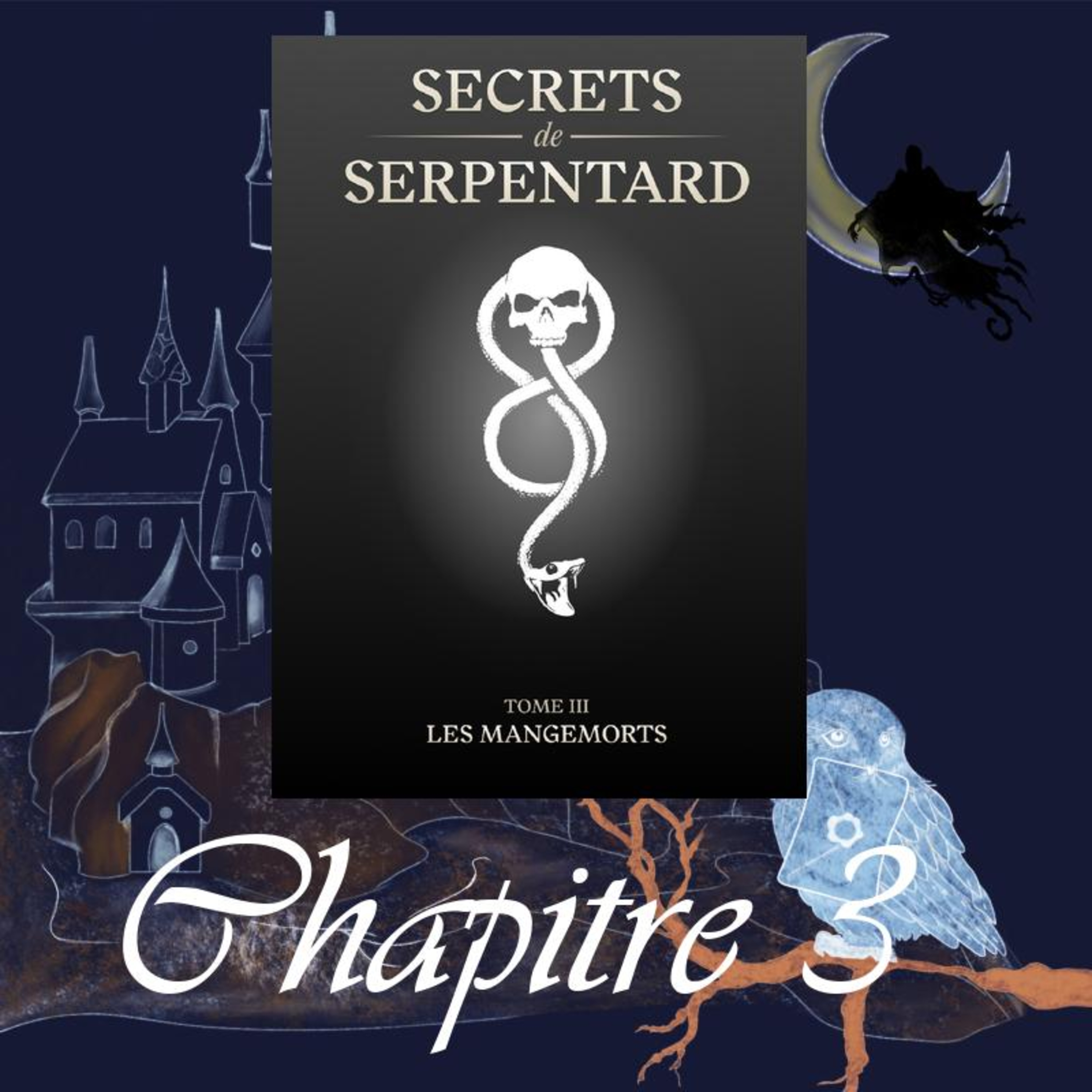 Secrets de Serpentard - Tome 3 - Chap. 3 - Le Prince de sang Mêlé episode artwork