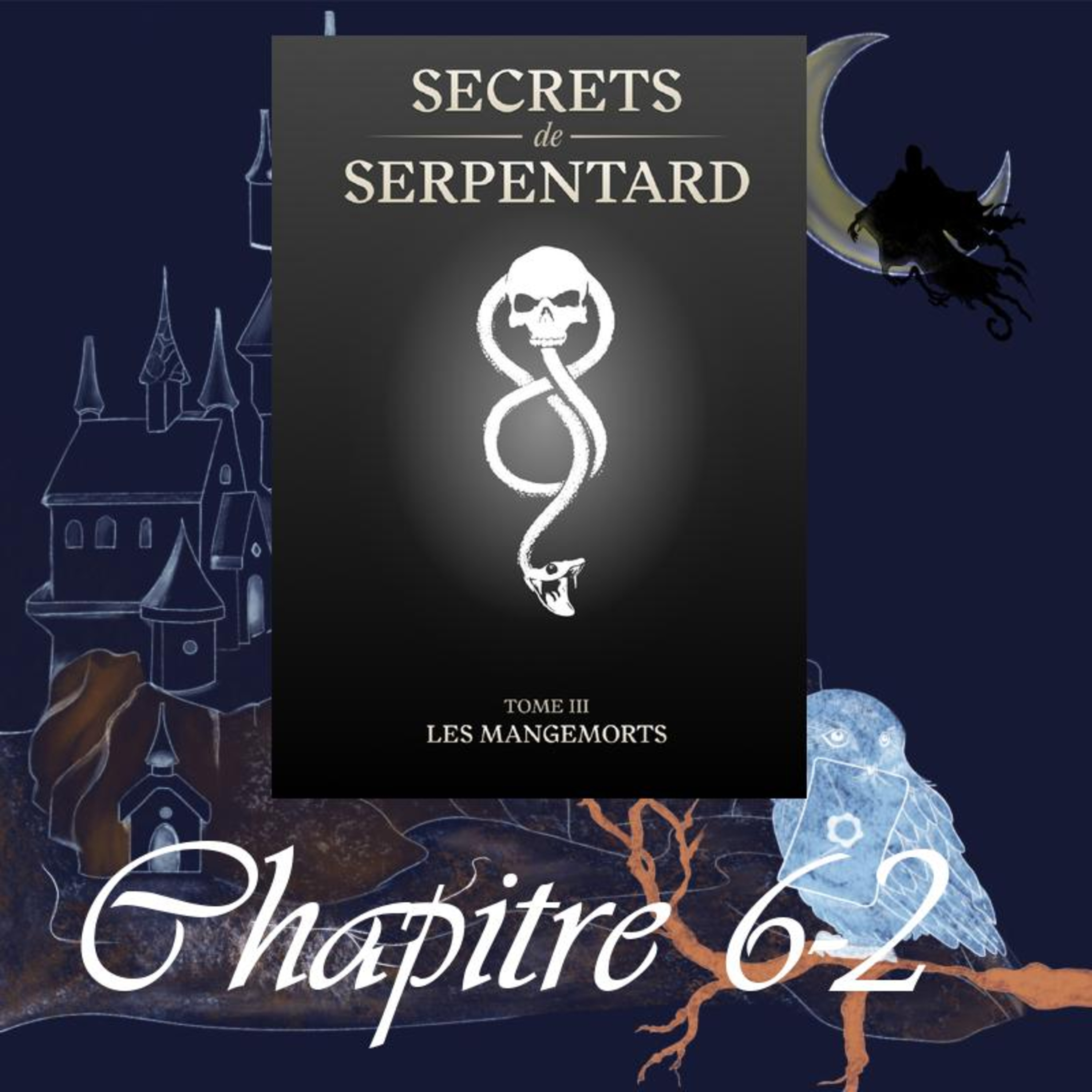 Secrets de Serpentard - Tome 3 - Chap. 6 - Un fantôme indiscret - partie 2 episode artwork